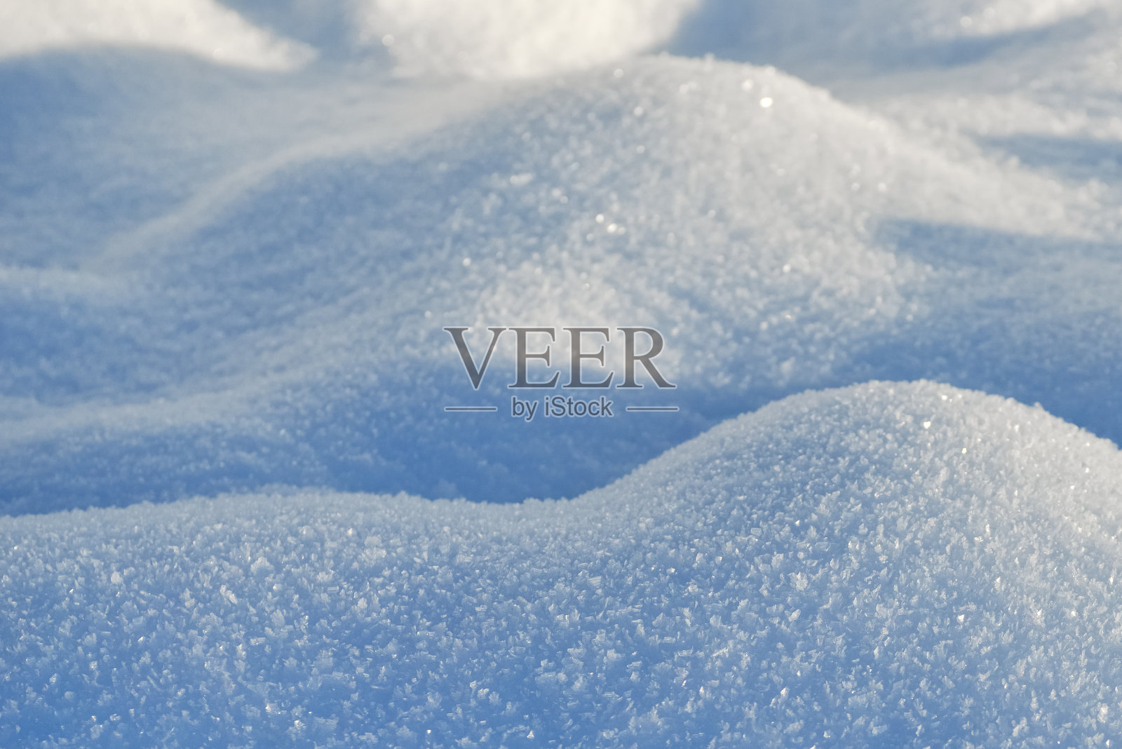被雪覆盖-在阳光明媚的冬日里被雪覆盖的低矮植物照片摄影图片