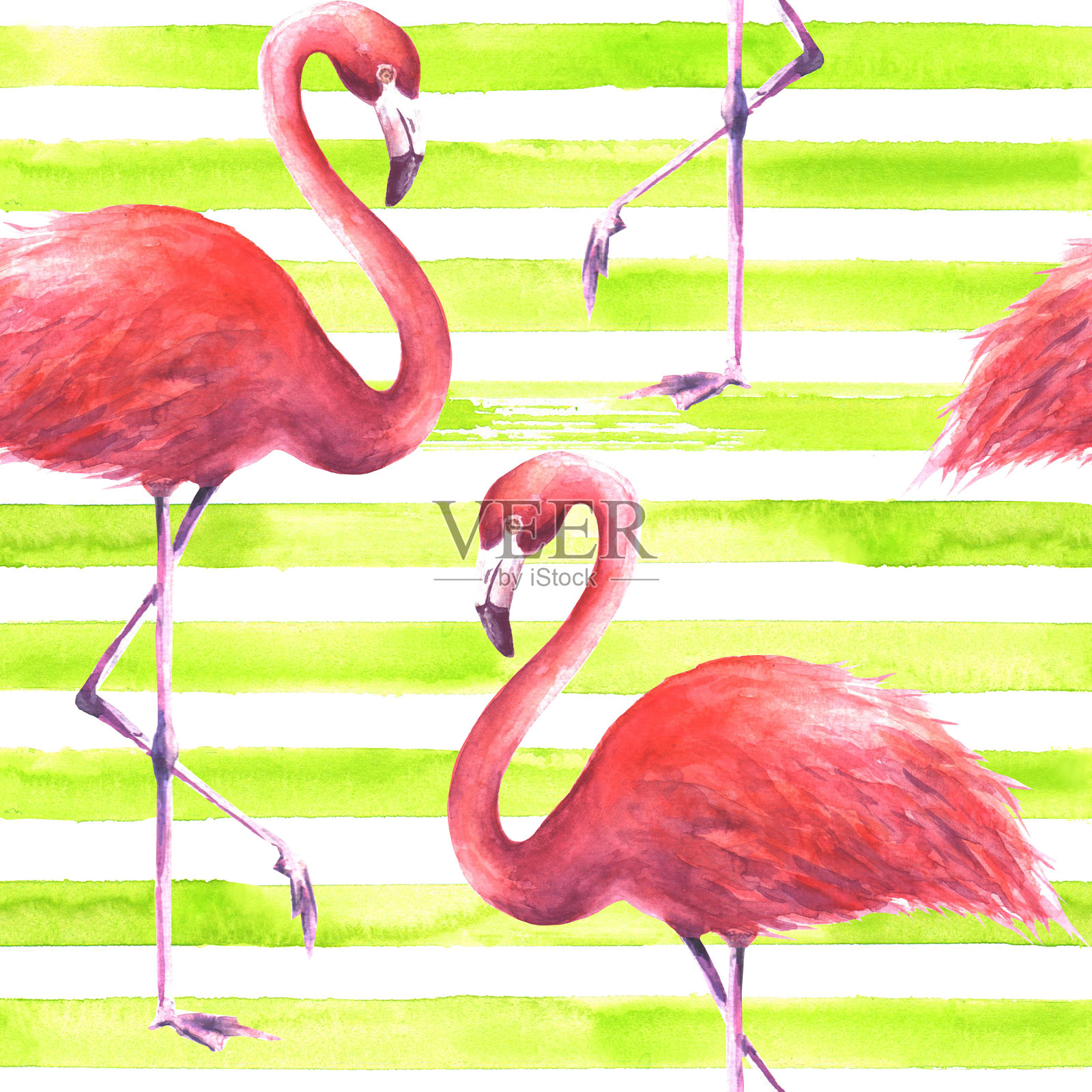 无缝粉红色火烈鸟图案插画图片素材
