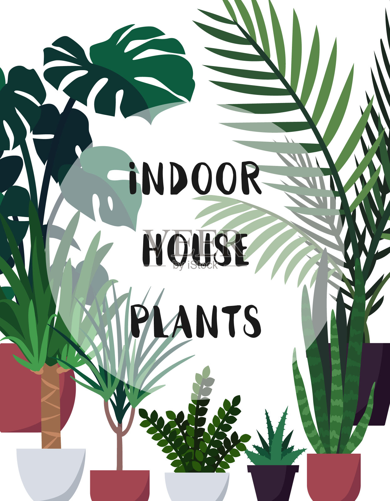 矢量插图与室内室内植物。海报，封面，模板设计与各种观赏室内植物盆栽与文字空间插画图片素材