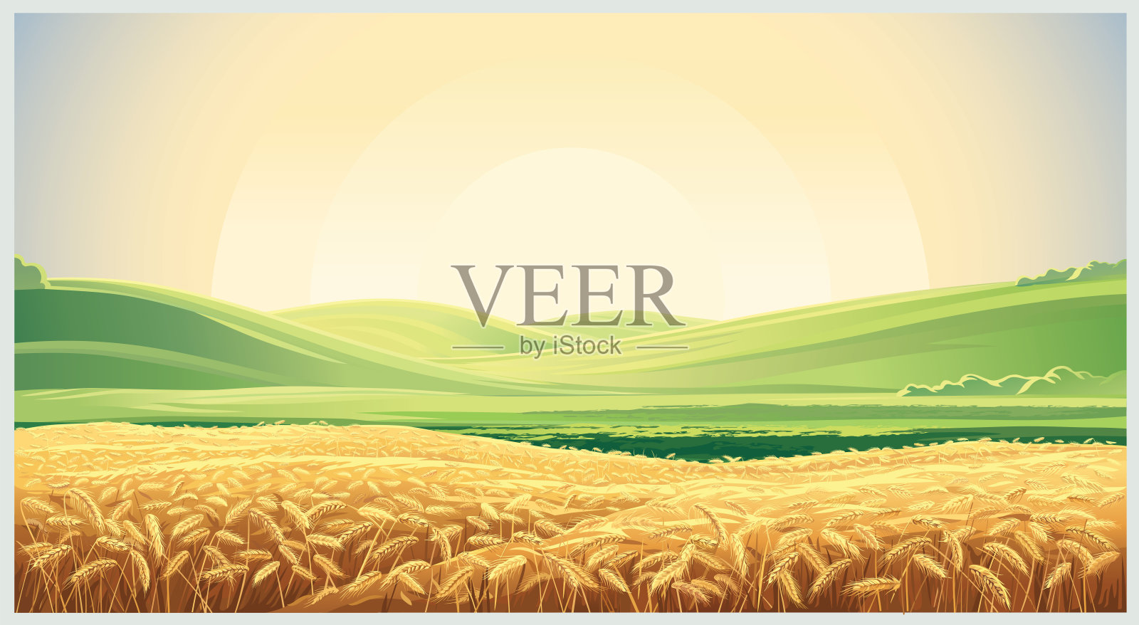 夏季景观与麦田小麦插画图片素材