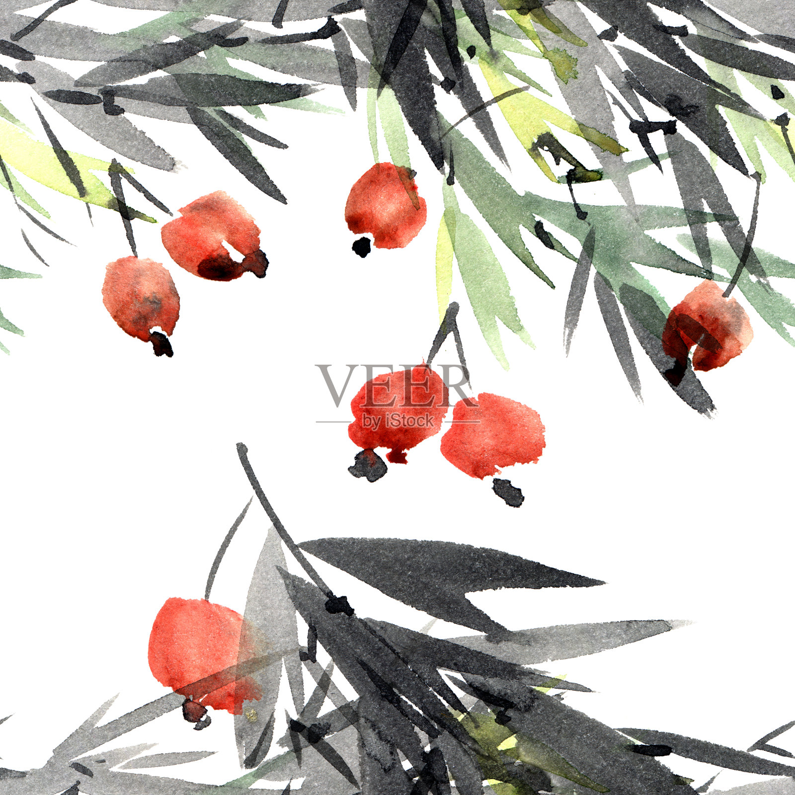 树莓果插画图片素材