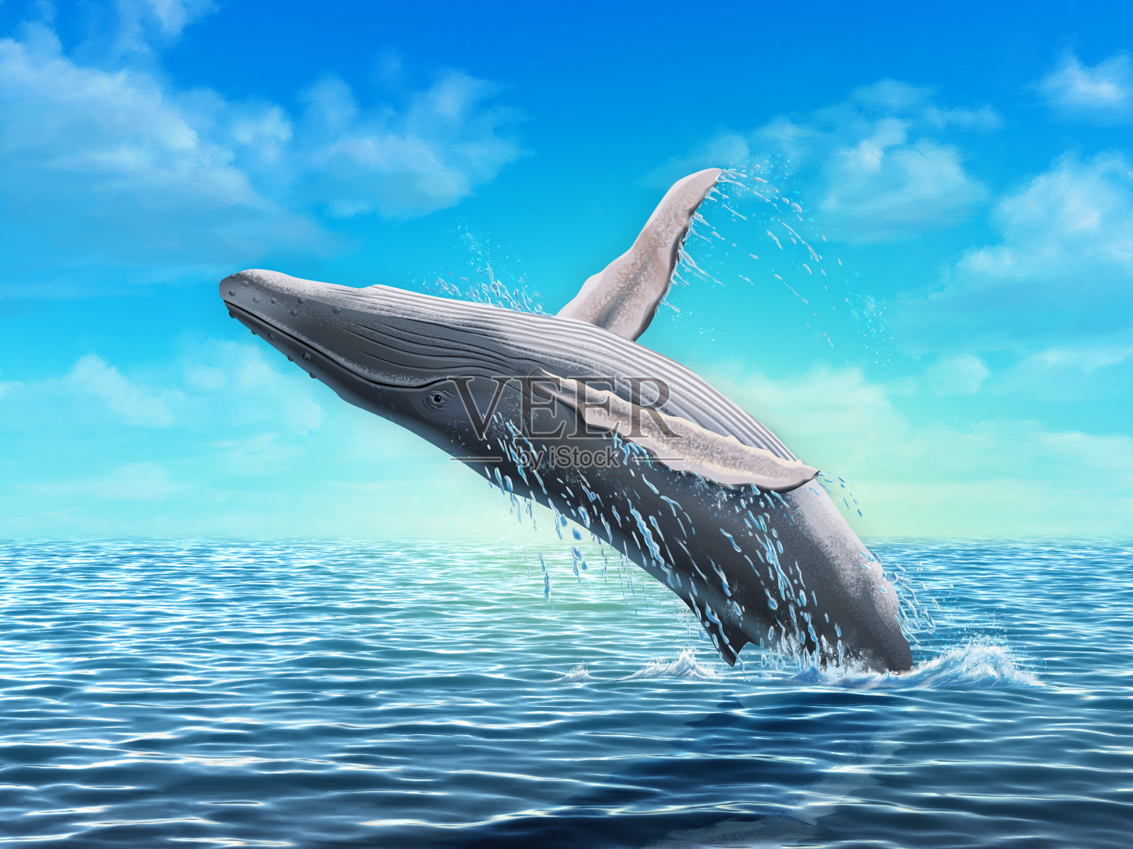 座头鲸跳插画图片素材