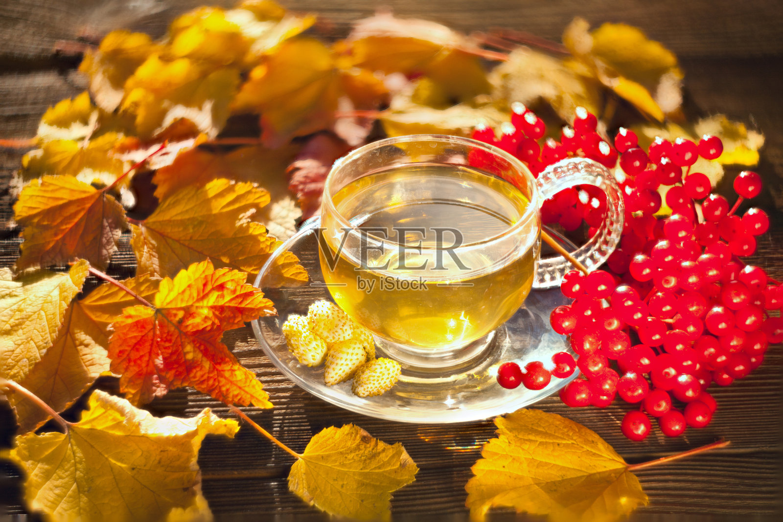 桌上漂亮的玻璃碗里盛着美味的秋茶照片摄影图片