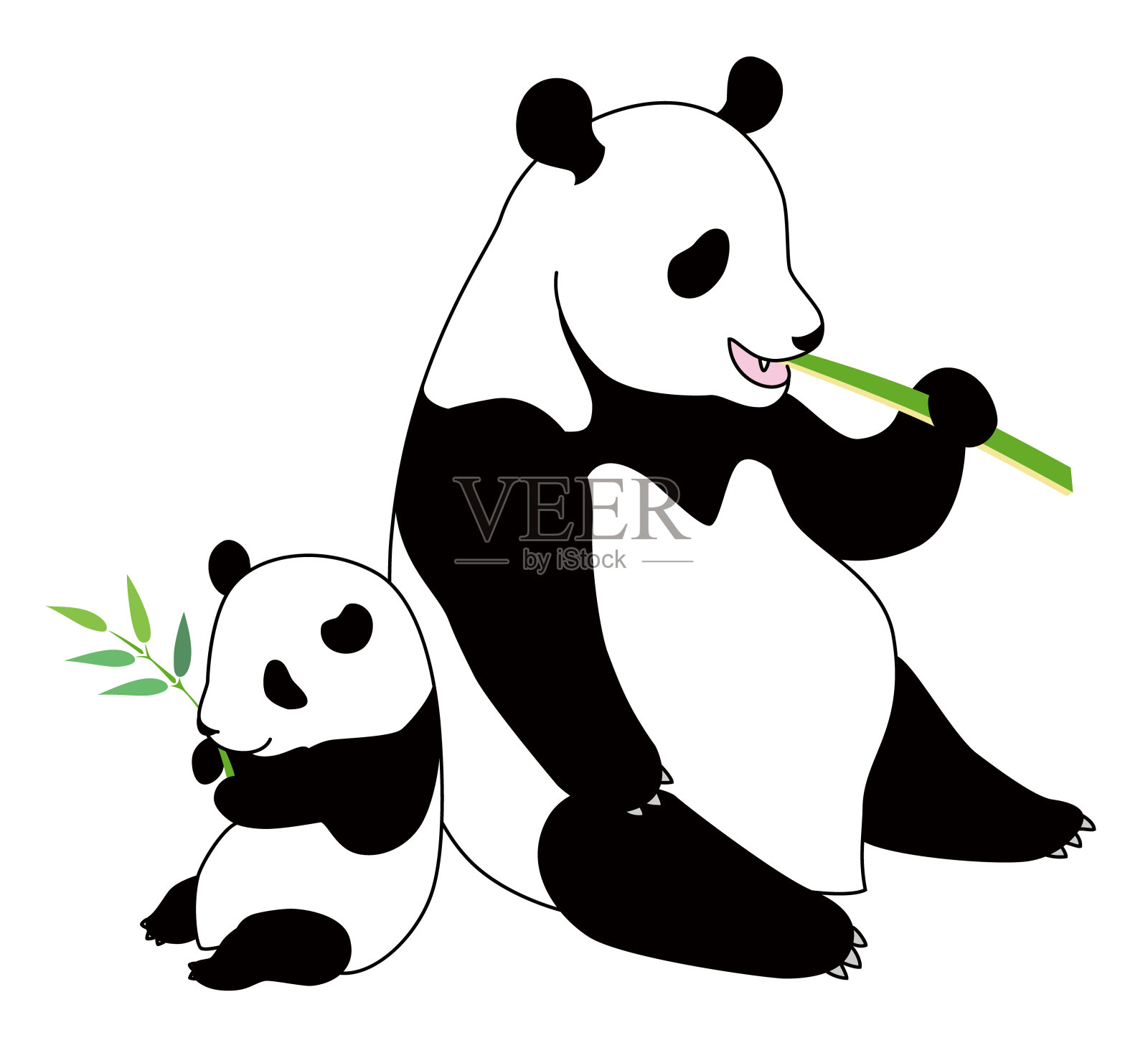 大熊猫和幼崽，孤立在白色背景上插画图片素材
