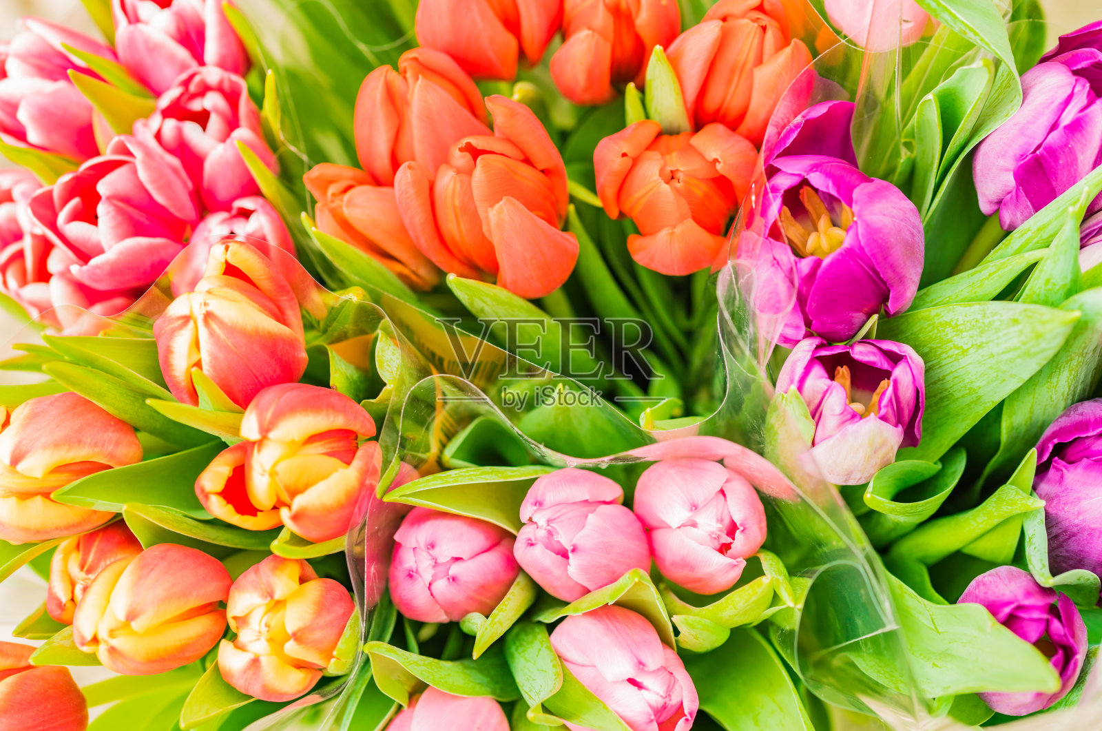 鲜花市场上一束束新鲜的春天郁金香照片摄影图片