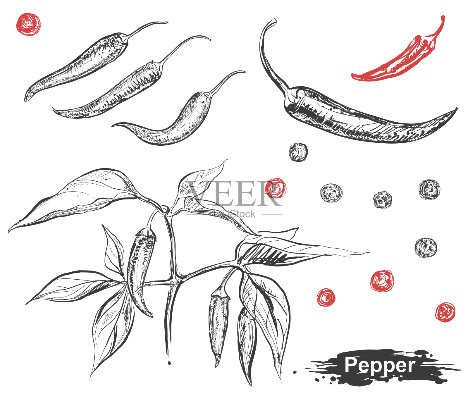 手绘插图辣椒，辣椒，枝，叶。草图。向量eps 8设计元素图片