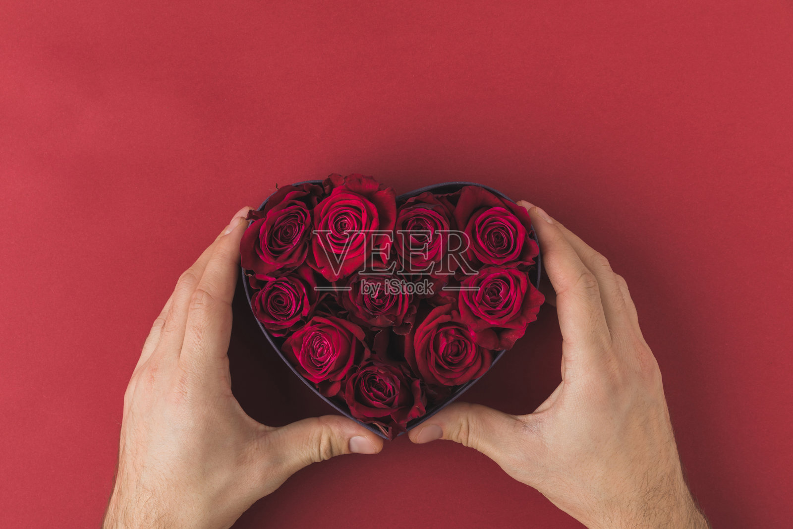 一个男人在红色的桌子上拿着心形的盒子里的玫瑰，情人节的概念照片摄影图片