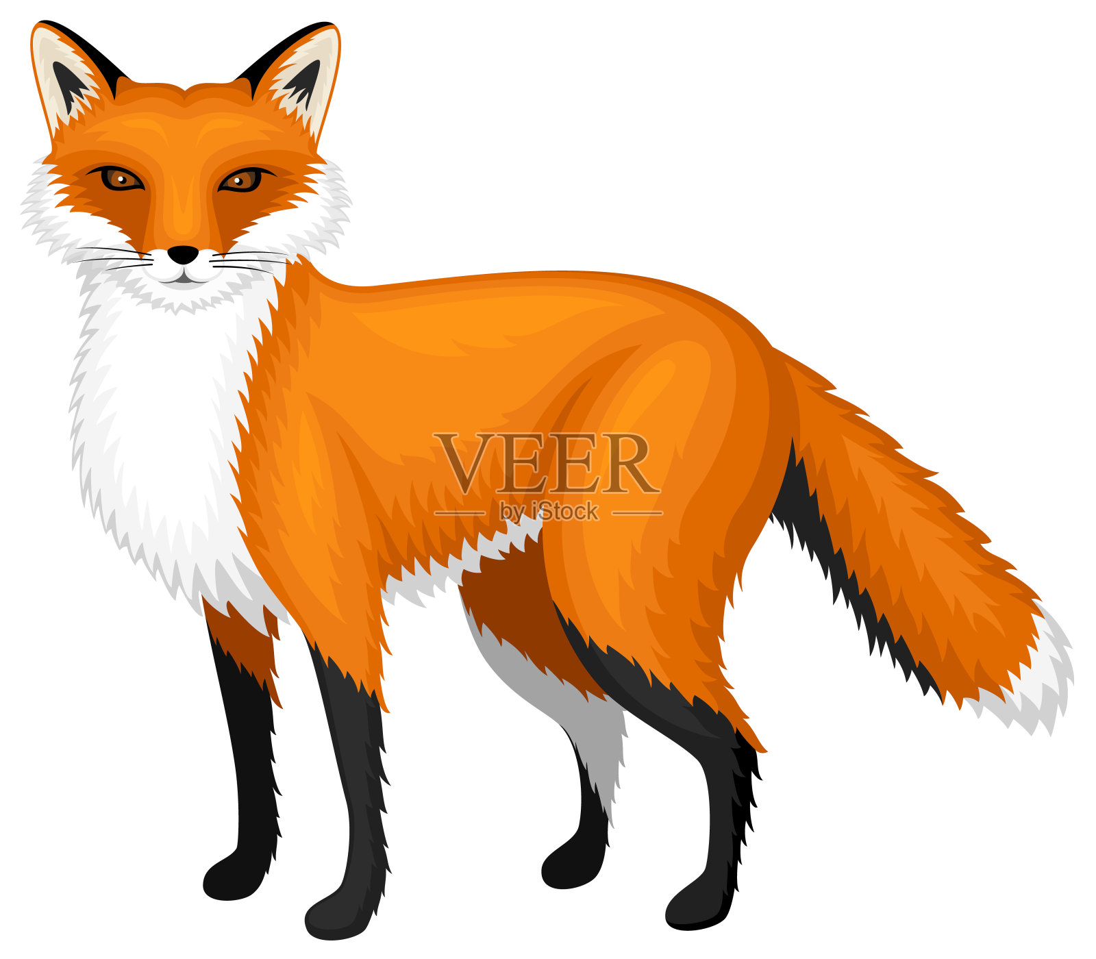 红狐狸设计元素图片