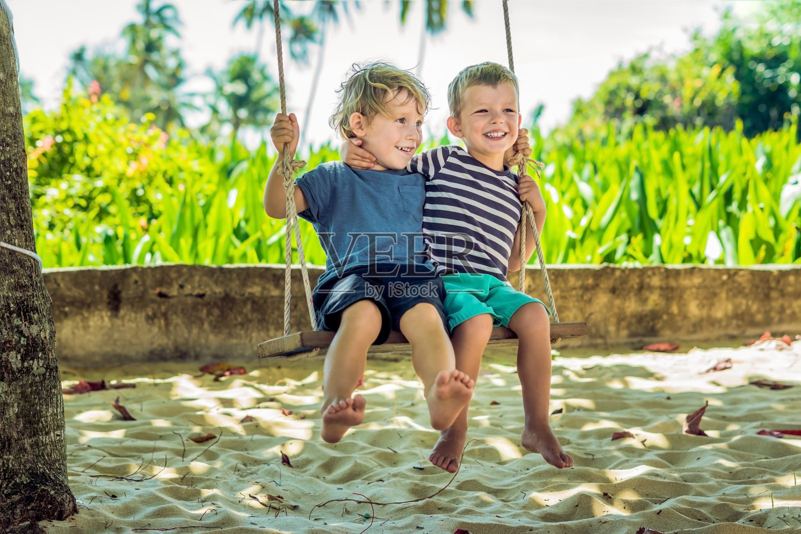 两个金发小男孩在热带沙滩上玩秋千照片摄影图片