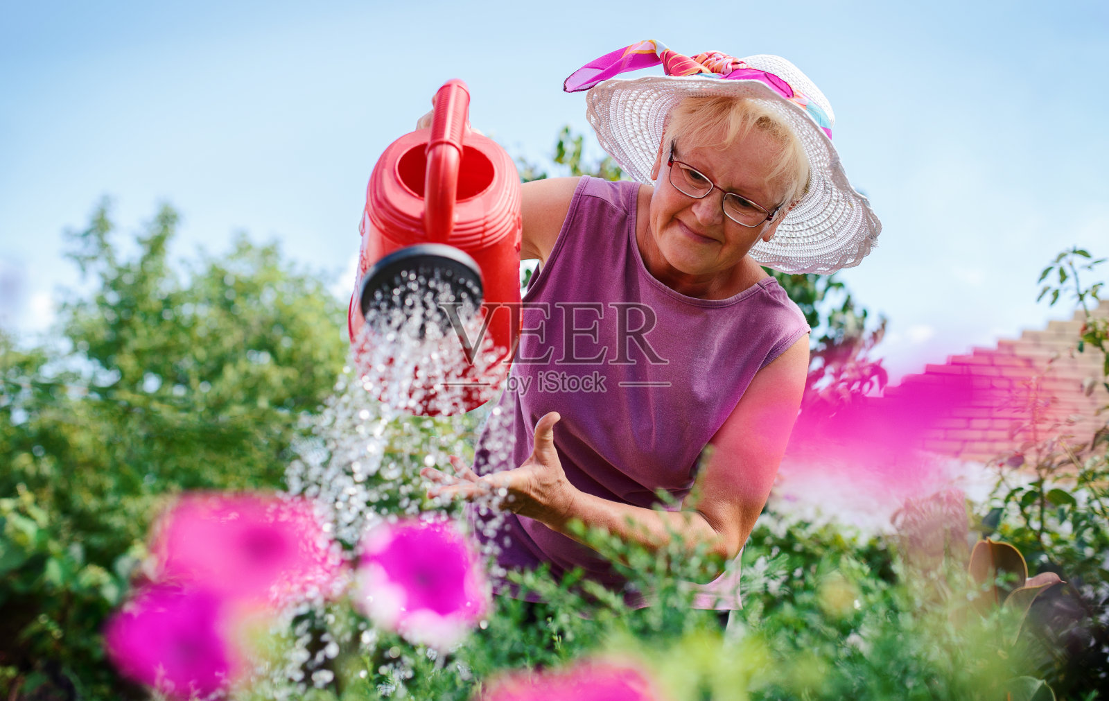 年长妇女工作在她的花园与植物。爱好和休闲照片摄影图片