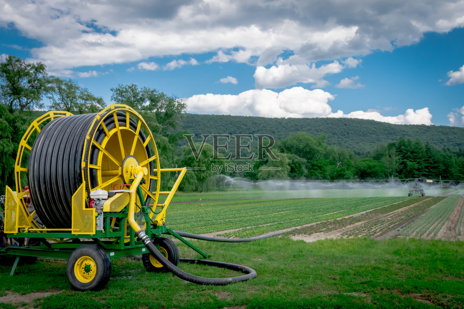 灌溉农田照片摄影图片