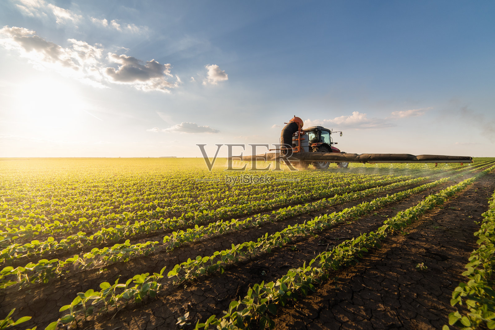 拖拉机用喷雾器在大豆田喷洒农药照片摄影图片