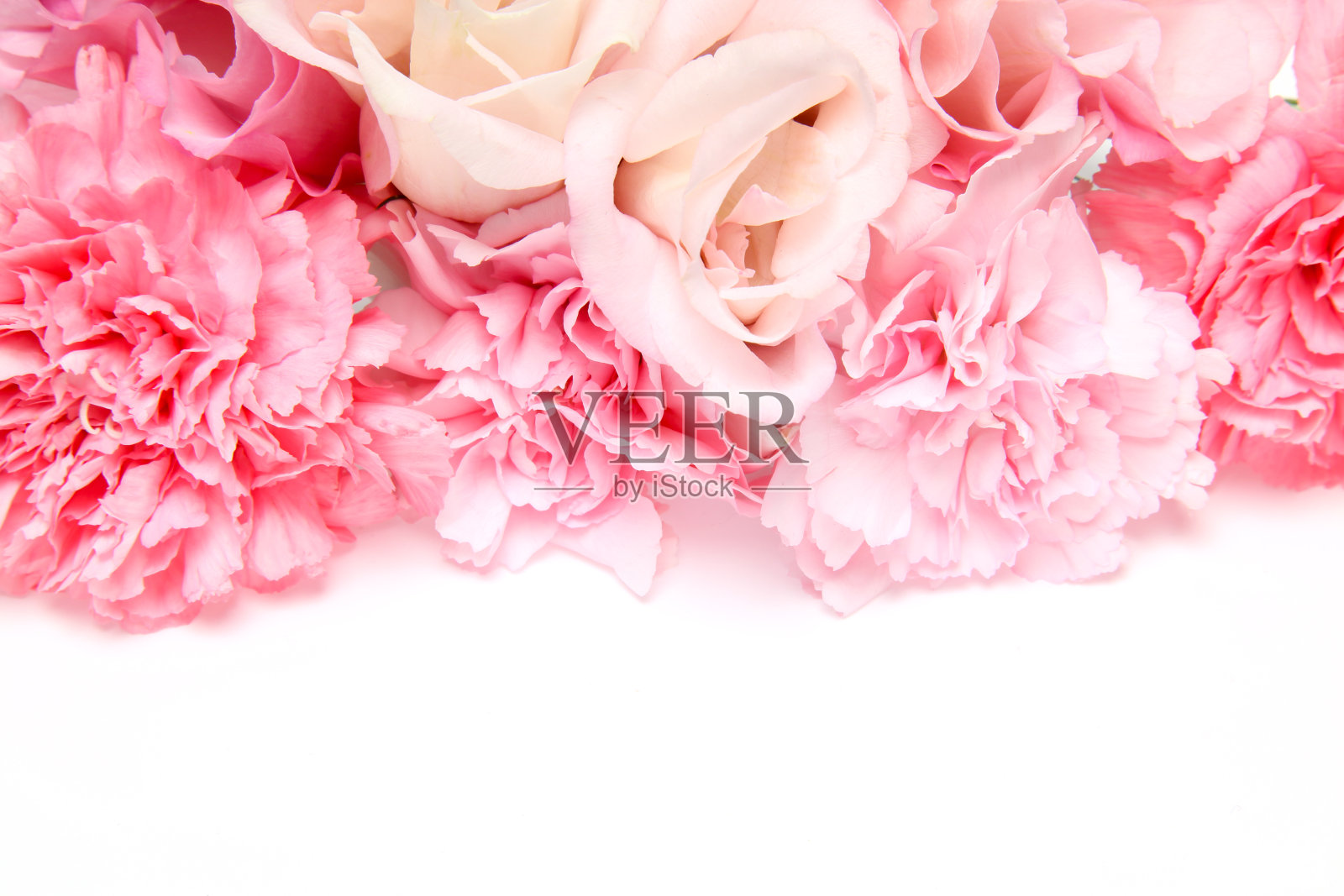 玫瑰和康乃馨花束照片摄影图片