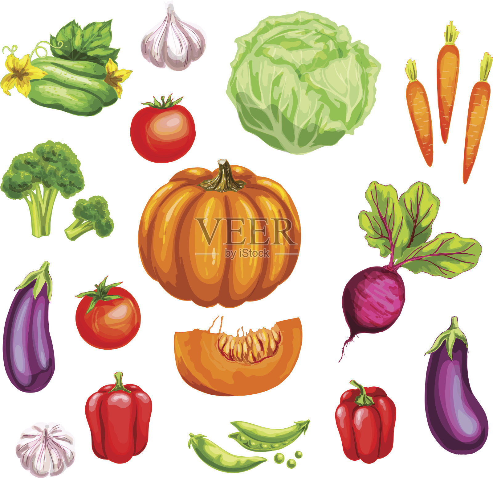 蔬菜水彩套新鲜有机蔬菜插画图片素材