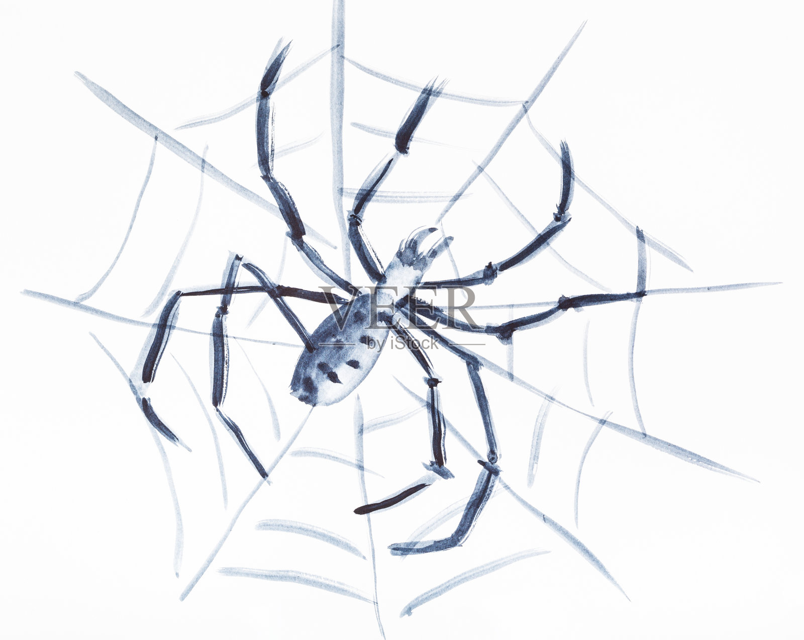 蜘蛛在白纸上织网插画图片素材