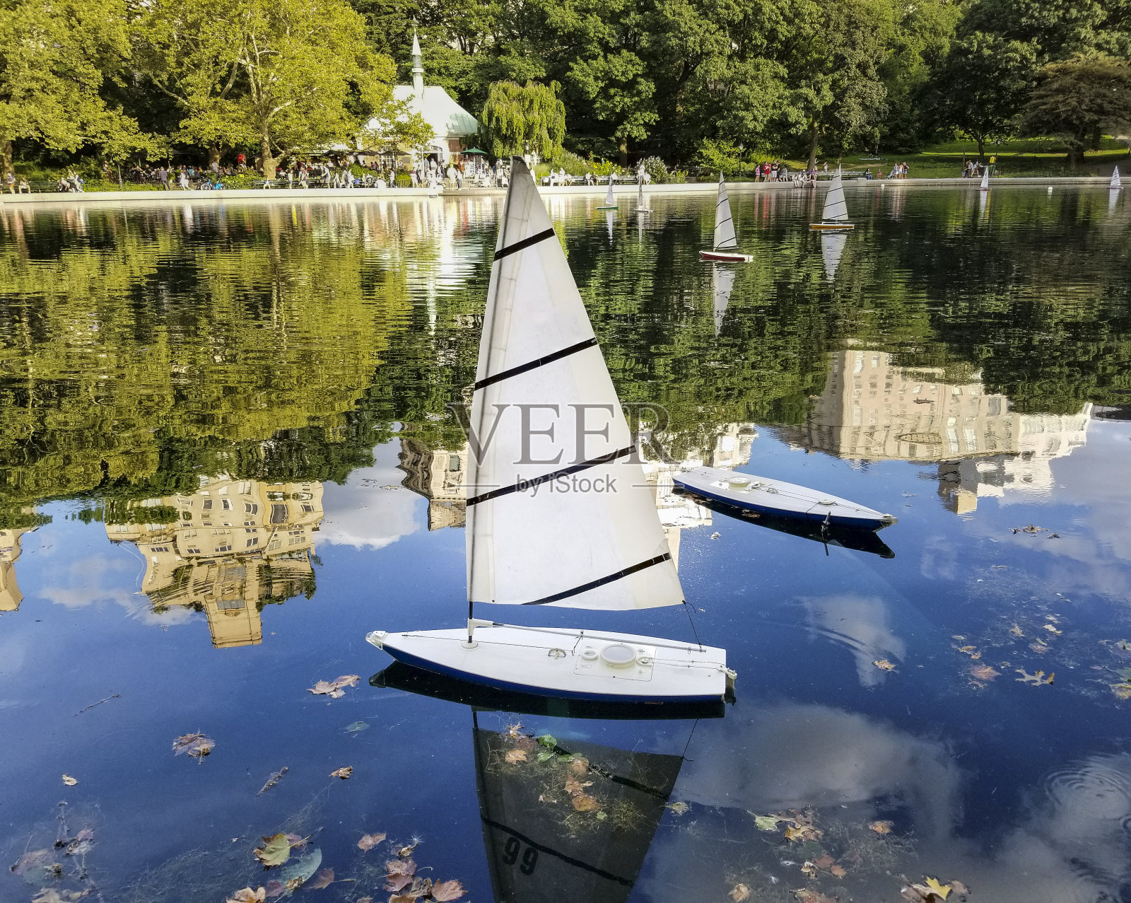 纽约市中央公园池塘上的玩具船照片摄影图片