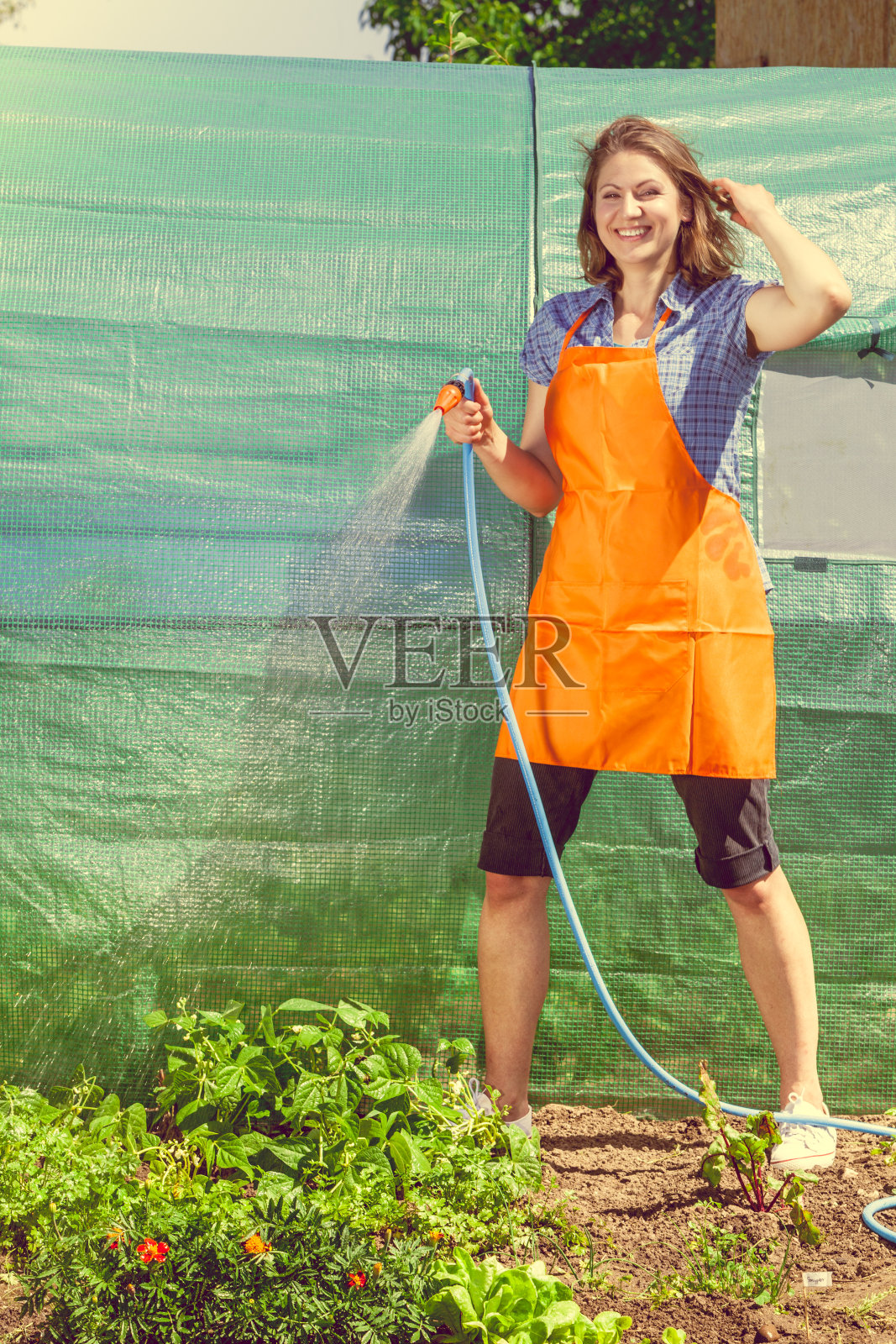 用软管浇花园的女人照片摄影图片