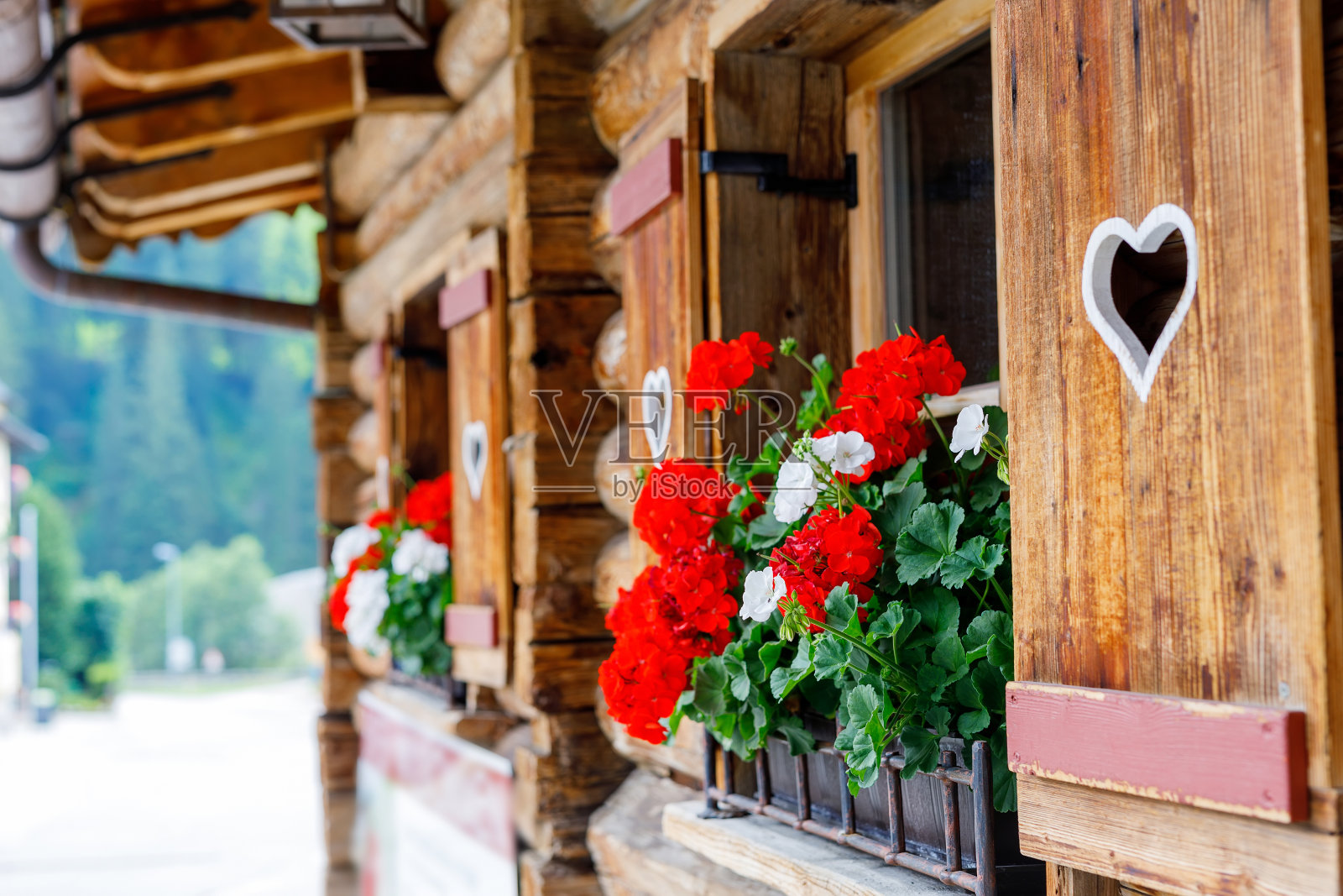 在奥地利或德国，典型的巴伐利亚或奥地利木窗上有红色的天竺葵花照片摄影图片