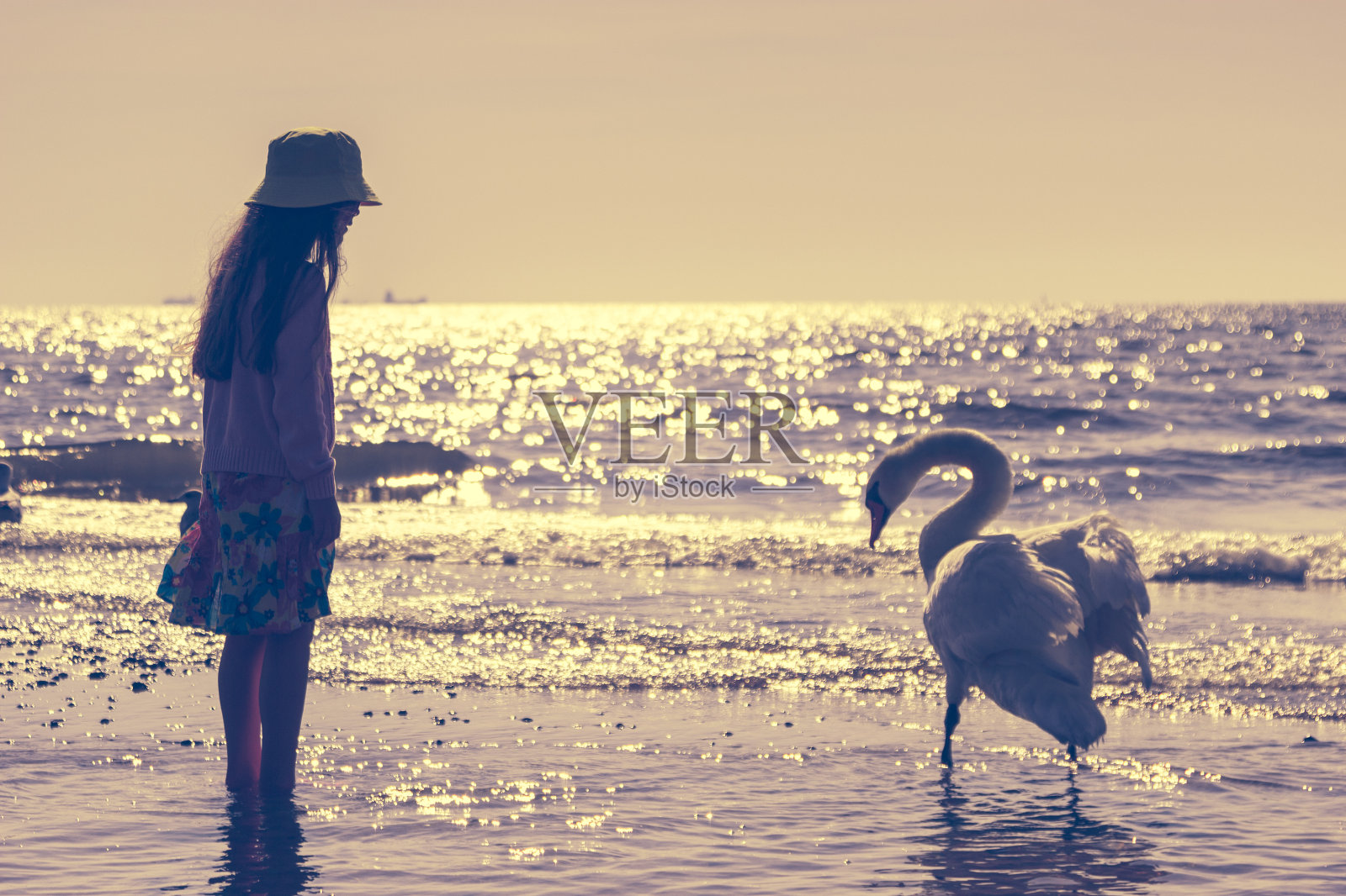 小女孩和天鹅在海边的沙滩上。乐趣。照片摄影图片