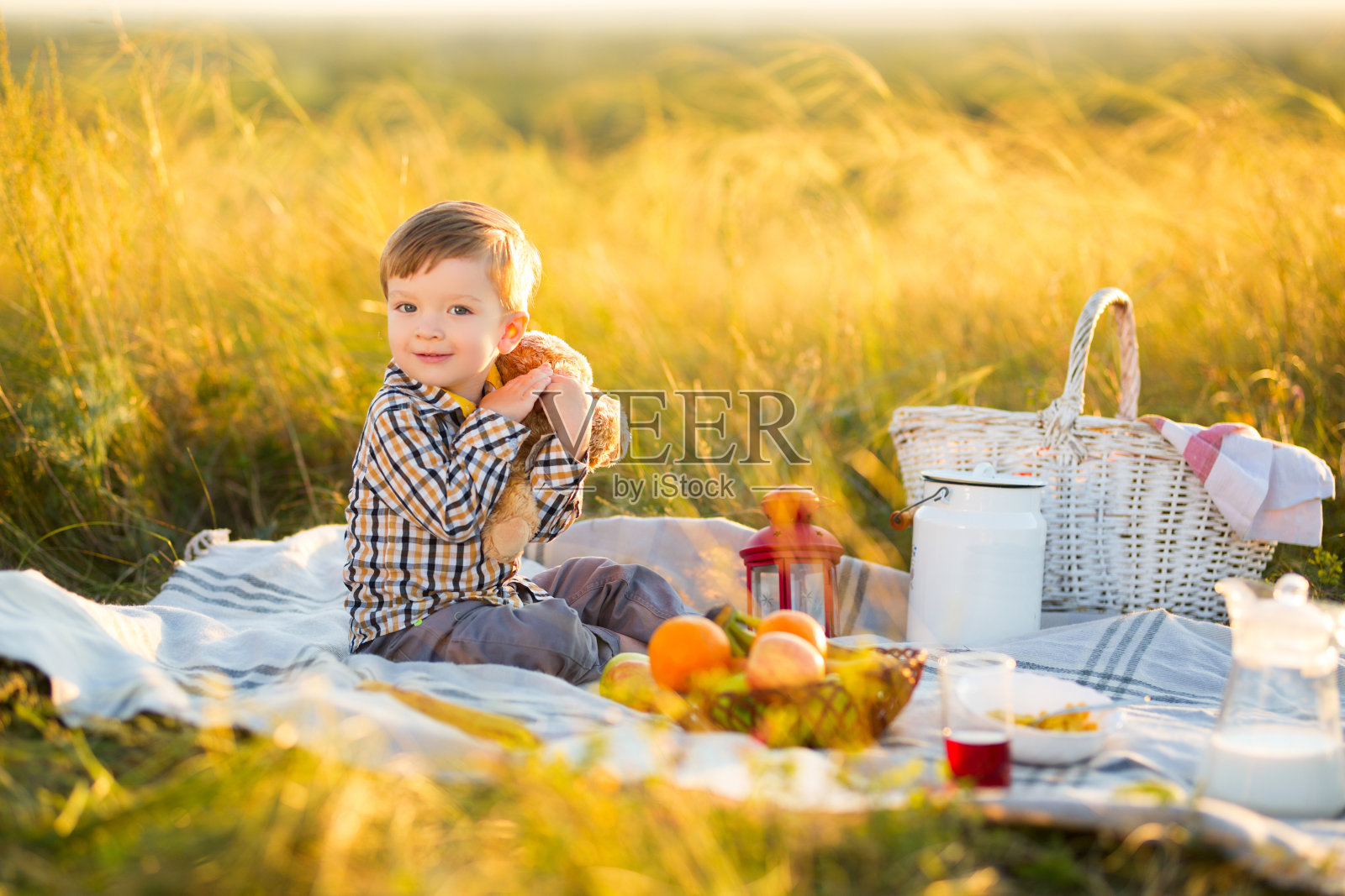 一个男孩带着泰迪熊和水果在阳光明媚的日子里野餐照片摄影图片