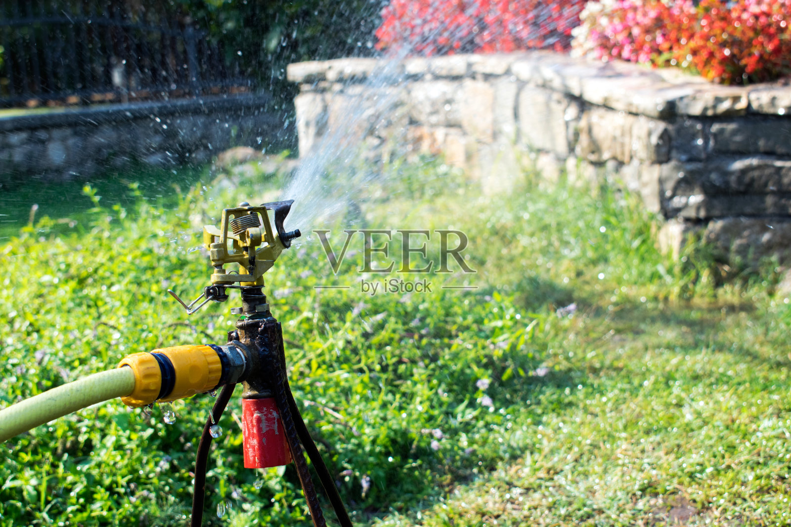 花园灌溉系统浇灌草坪。浇水喷雾器照片摄影图片