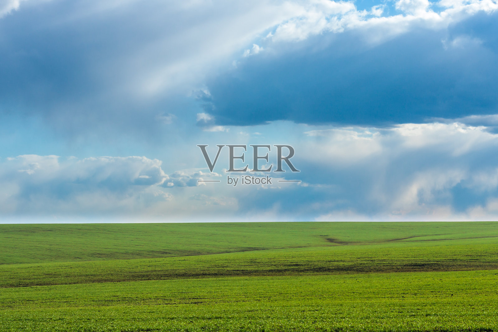 绿色的田野，新鲜充满活力的草地，蓝天和戏剧性的云彩在白天照片摄影图片