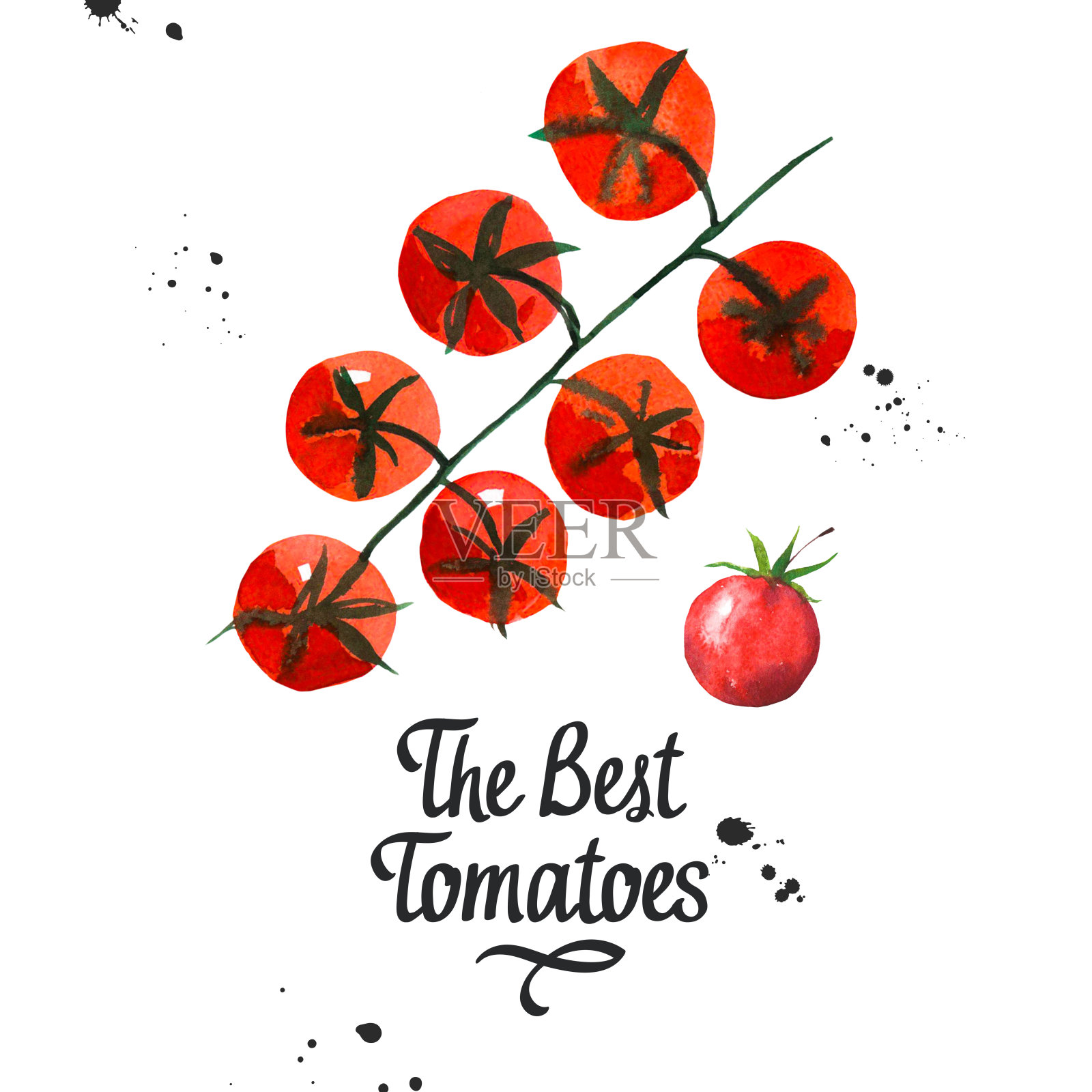 树枝上撒上樱桃番茄。蔬菜水彩插图。新鲜的有机食品。简单的画素描插画图片素材