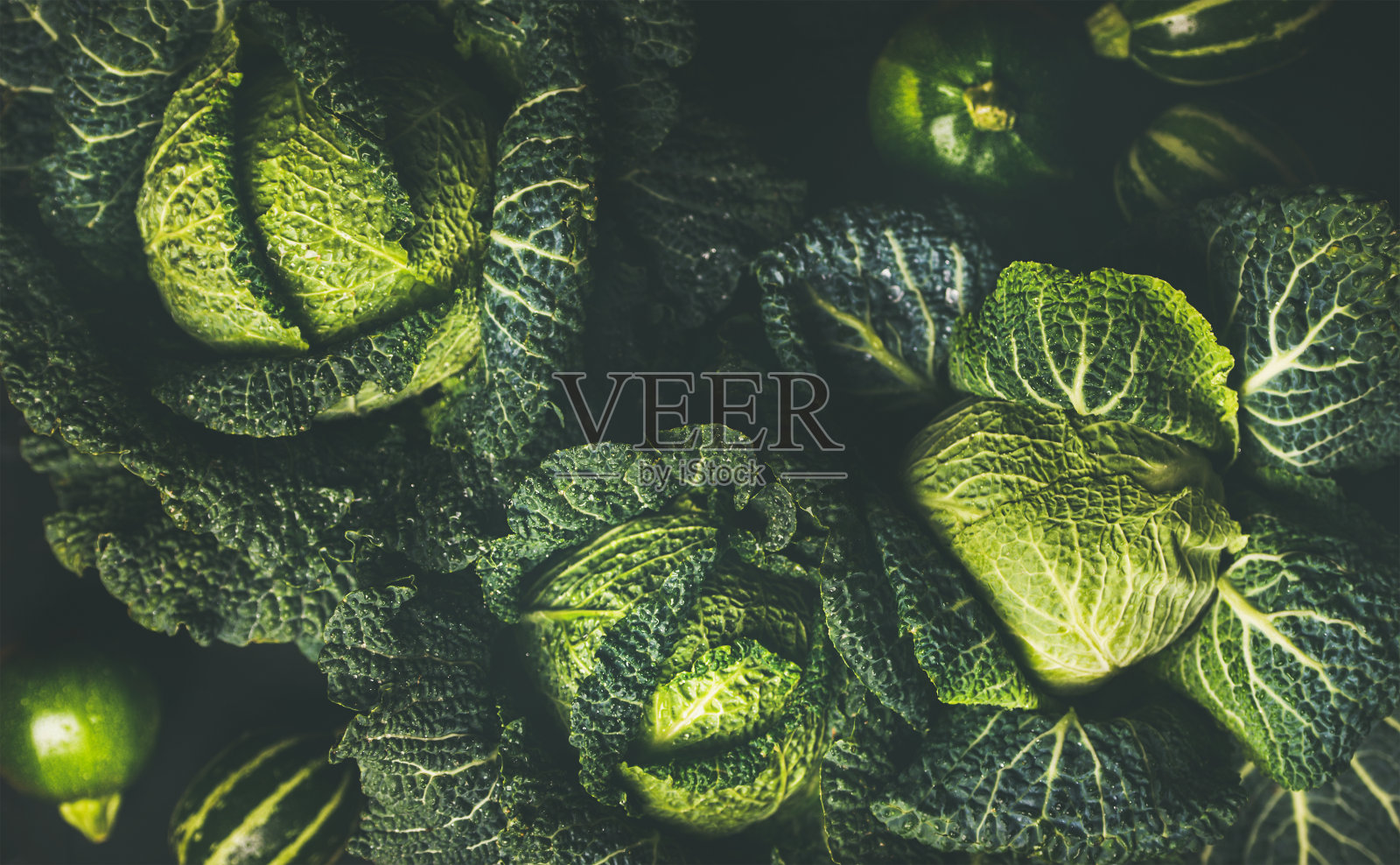 生鲜青菜的质地和背景照片摄影图片
