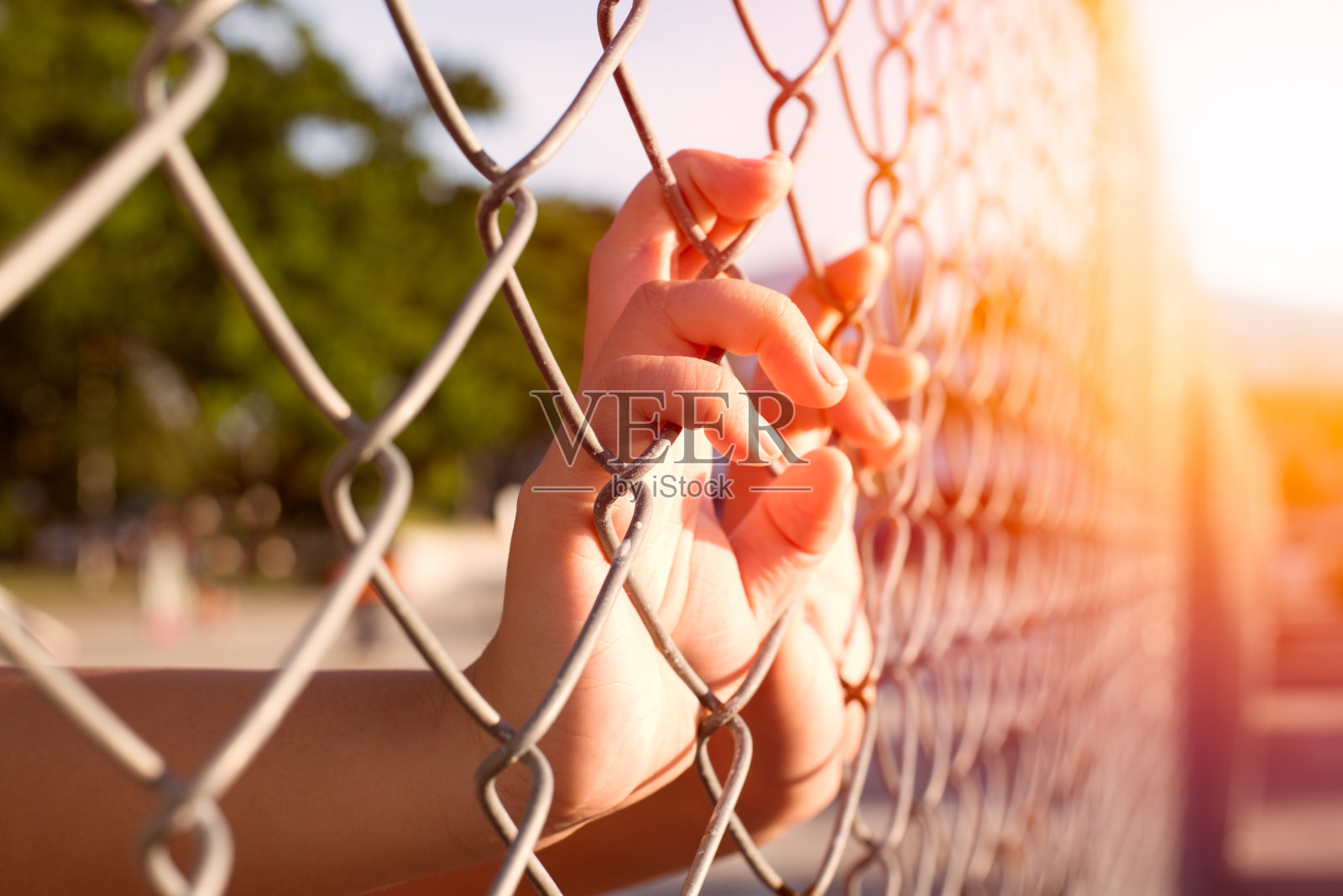 孩子的手在栅栏上照片摄影图片