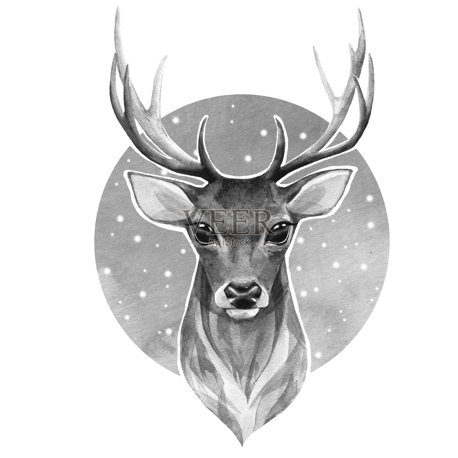 鹿。黑白插图插画图片素材