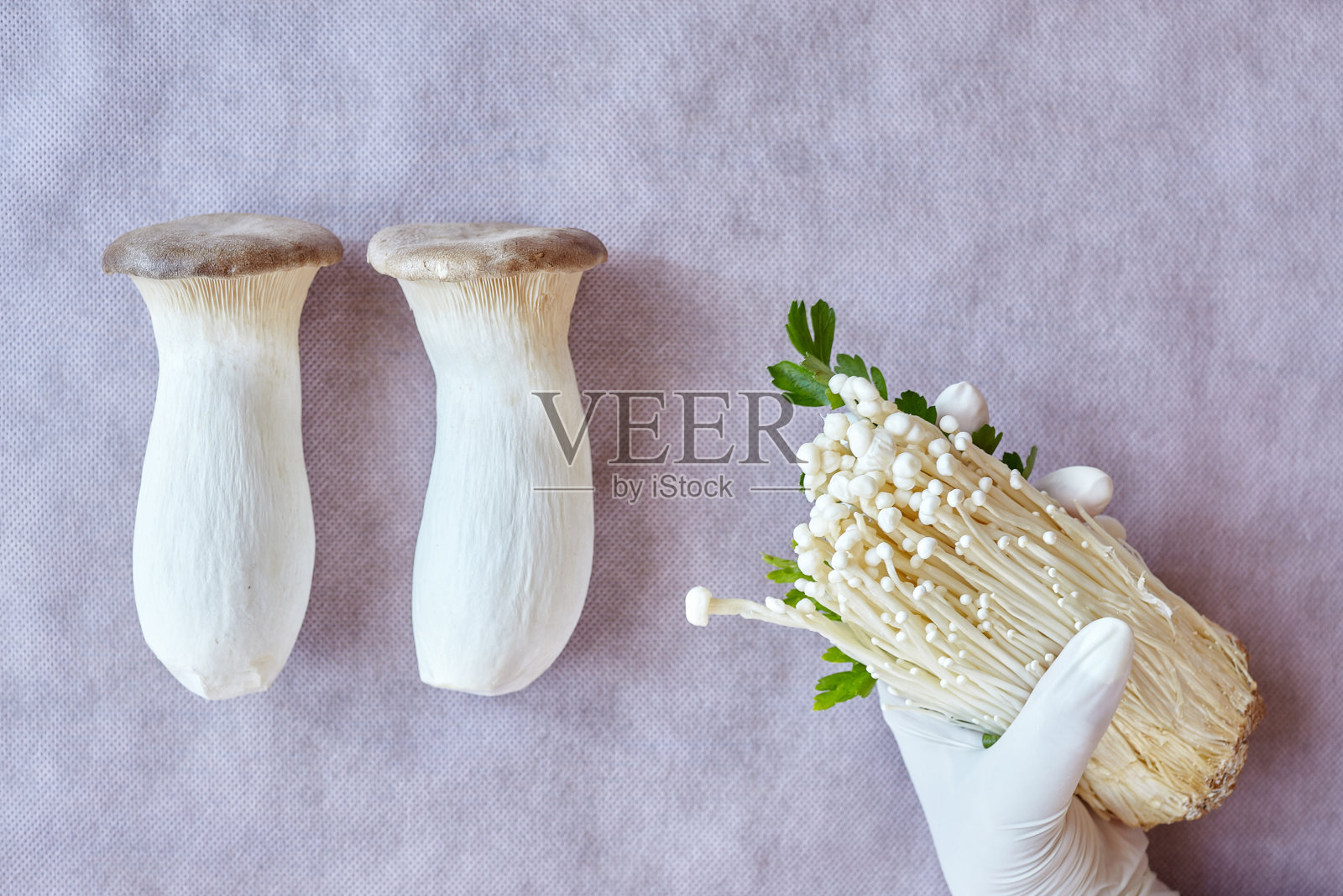 王喇叭蘑菇和金竹照片摄影图片