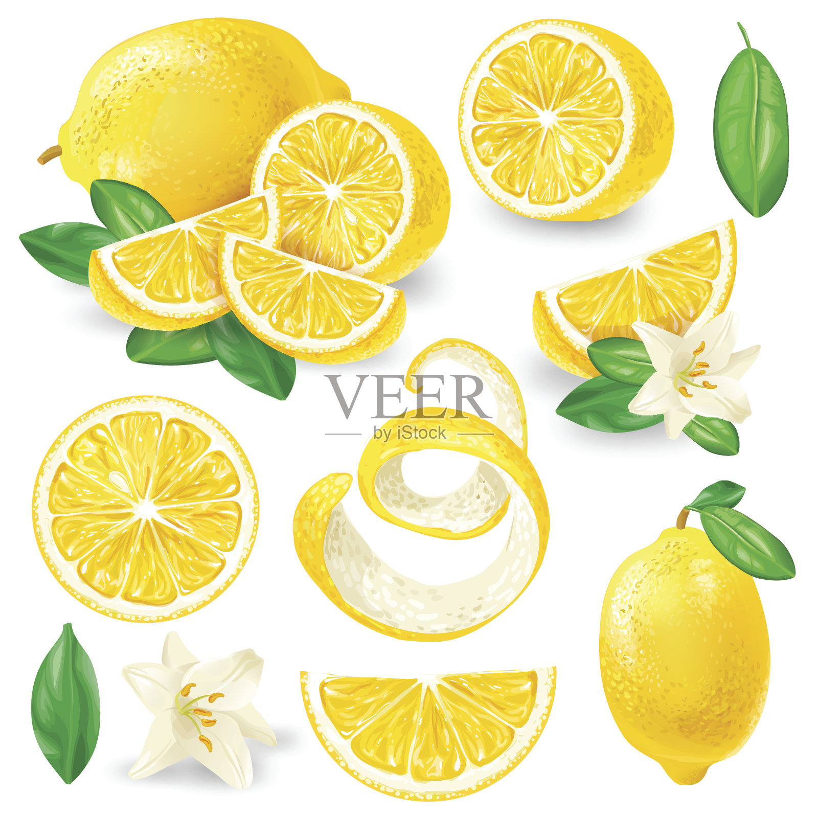 不同的柠檬与叶和花载体插画图片素材