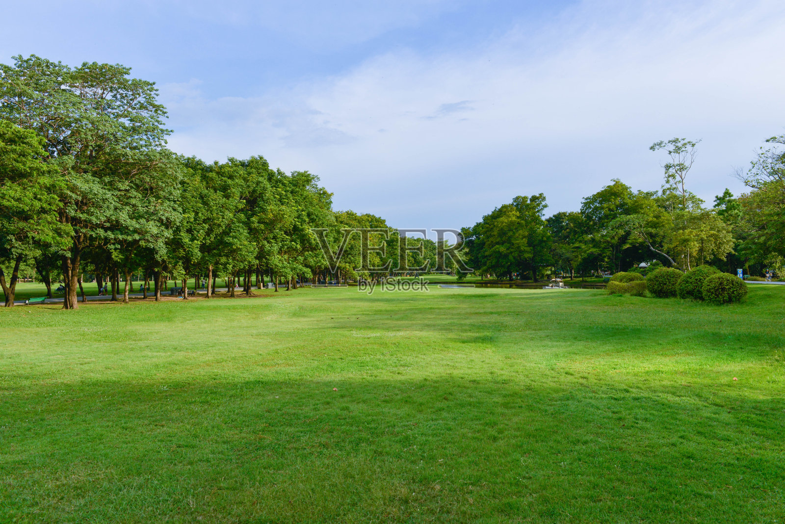 绿色的公园和美丽的蓝天照片摄影图片
