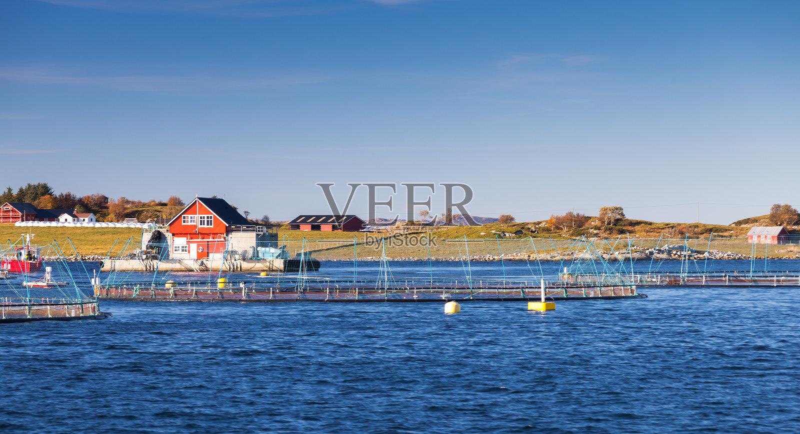 挪威渔场，在自然界中种植鲑鱼照片摄影图片