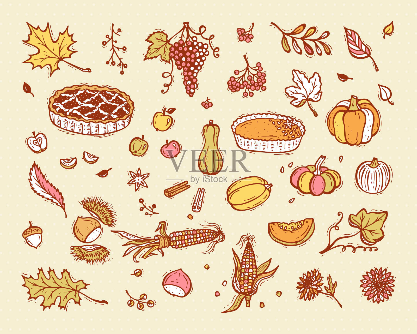 矢量感恩节图标设置。食物。水果，蔬菜和浆果。秋天丰收的象征。采购产品苹果派，南瓜派，南瓜，玉米，葡萄，栗子，苹果，叶子，花插画图片素材