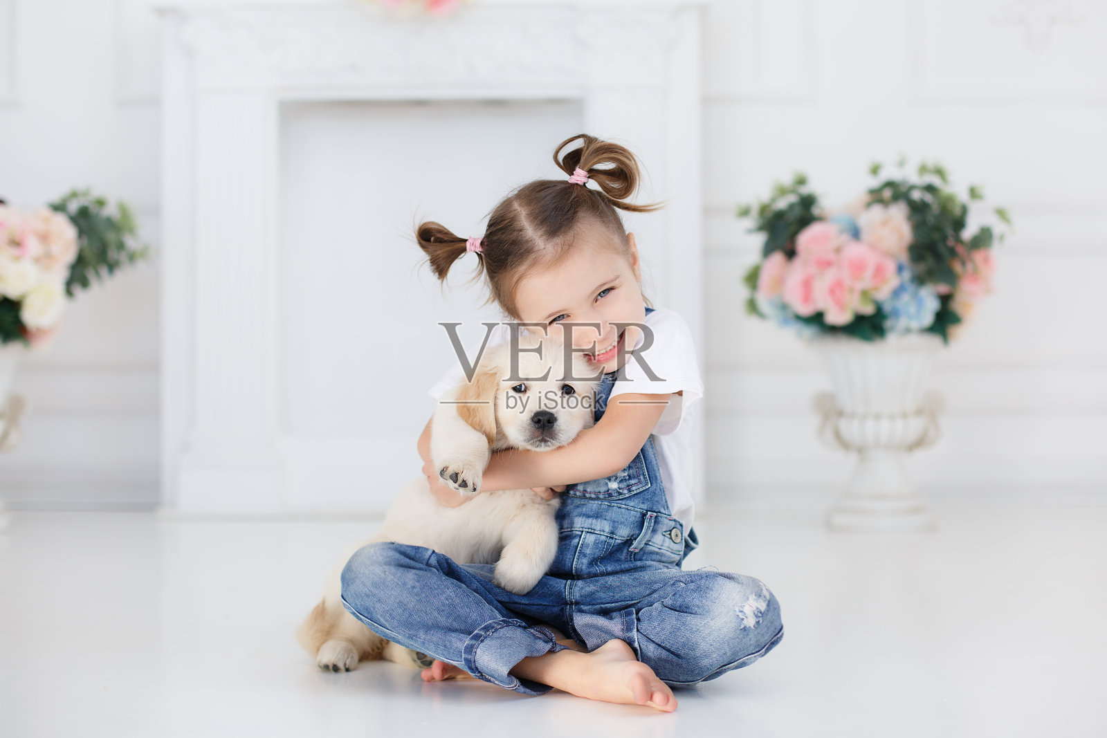 一个小女孩带着一只金毛猎犬。一只小狗在一个女孩手里照片摄影图片
