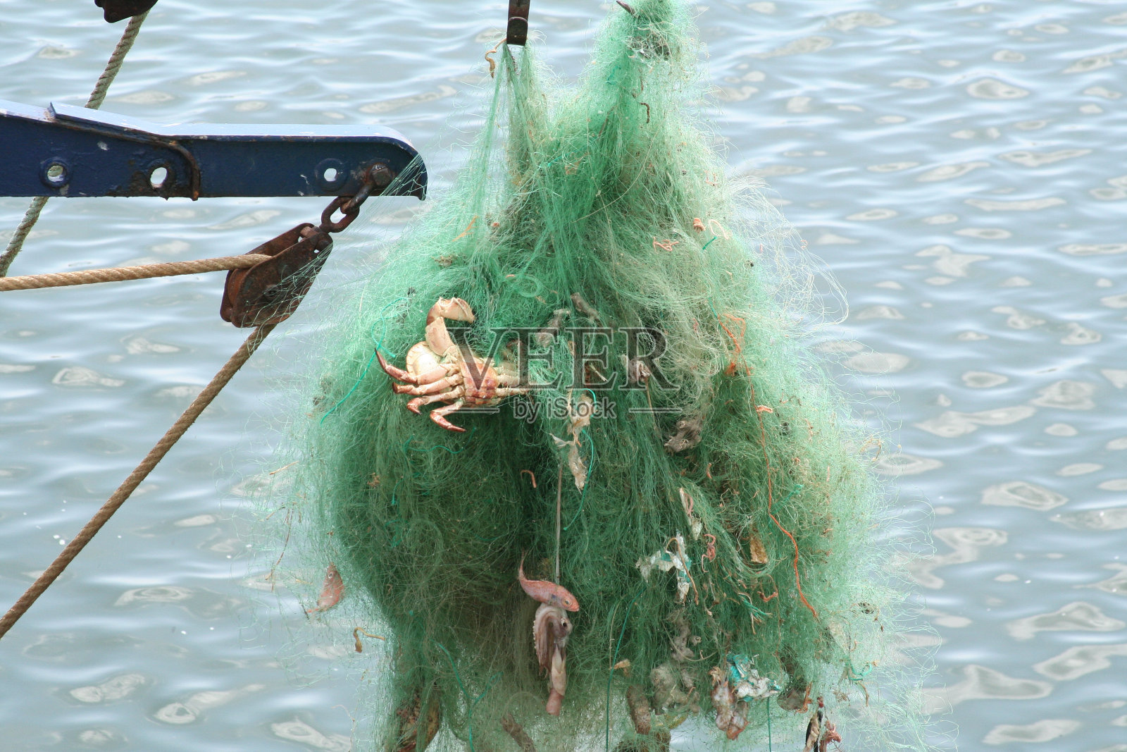 细部缠绕着螃蟹、鱼的绿色渔网照片摄影图片