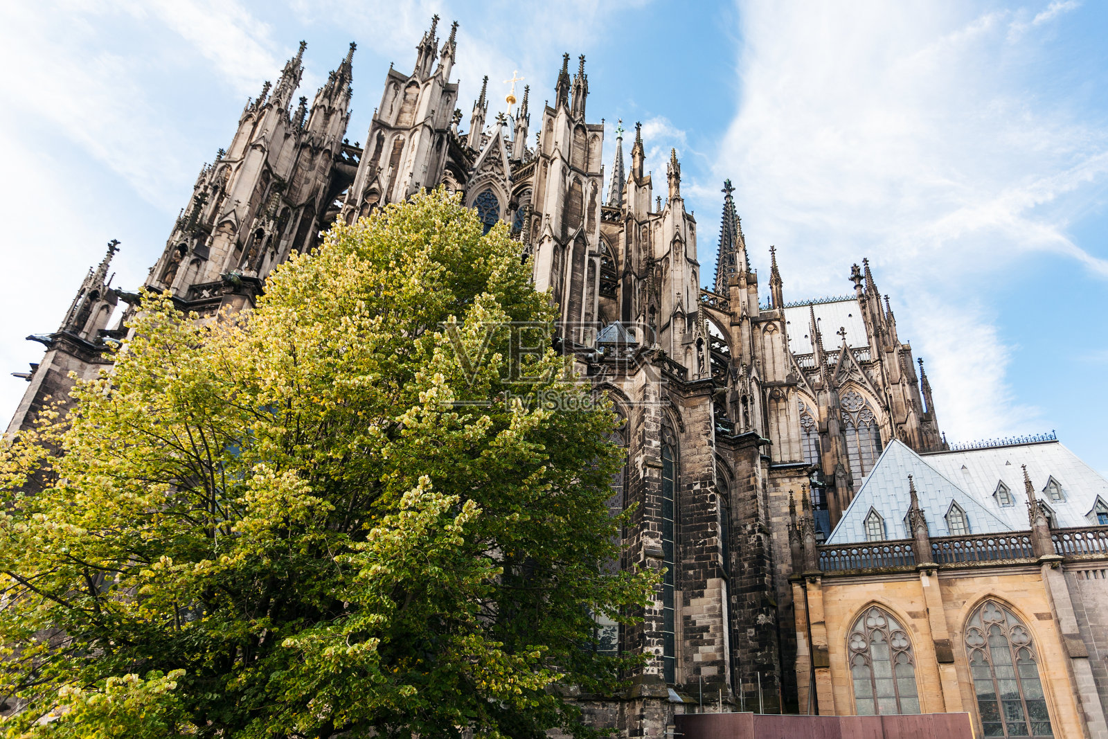 九月的绿树和科隆大教堂照片摄影图片