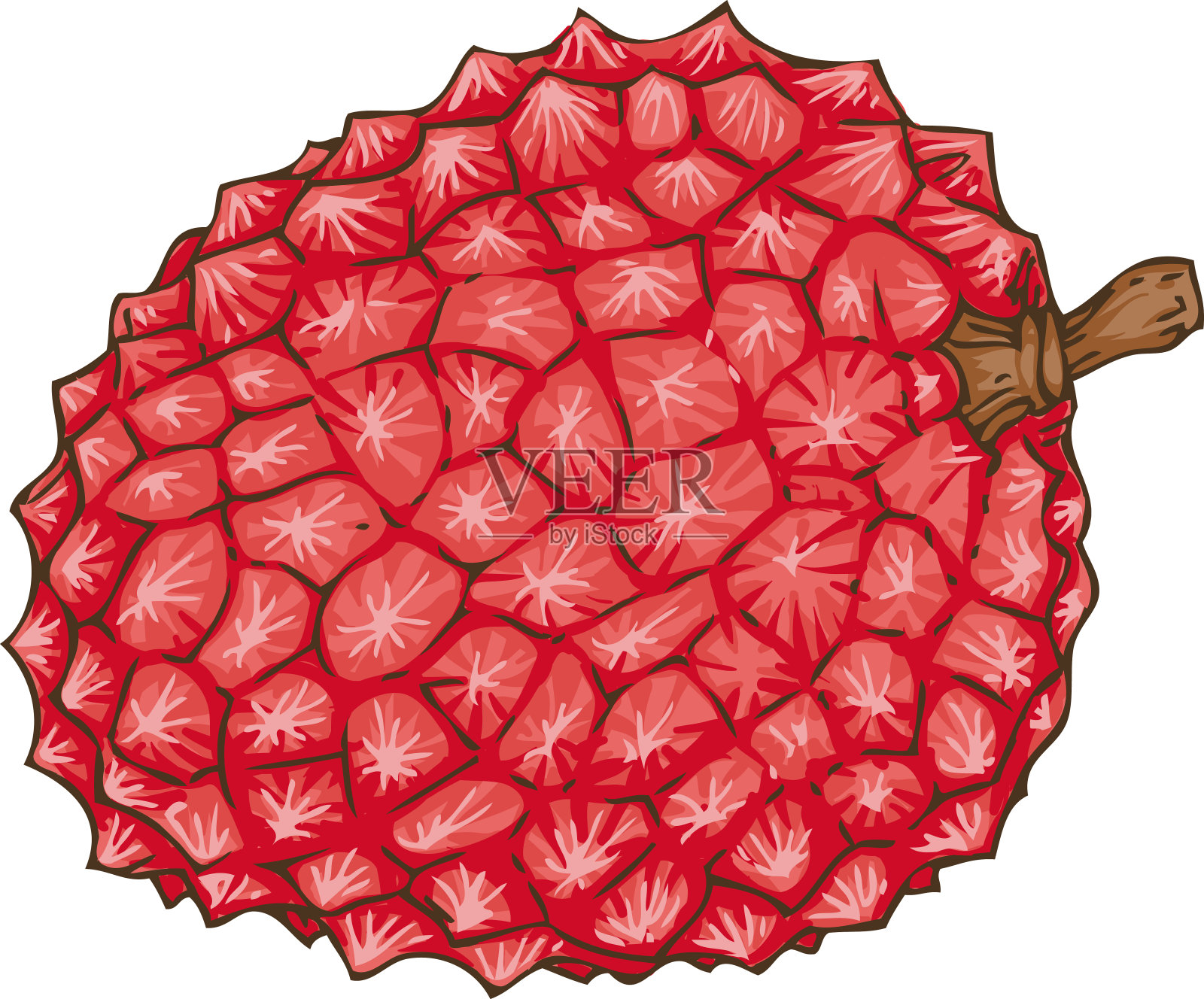 红色荔枝孤立在一个白色插画图片素材