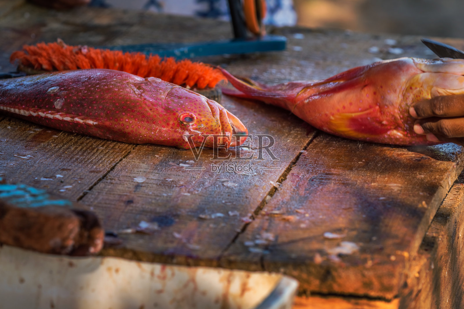 洗红鱼的渔夫照片摄影图片