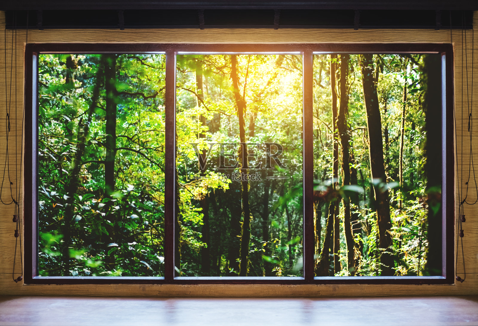透过窗户，可以看到日出的热带森林照片摄影图片