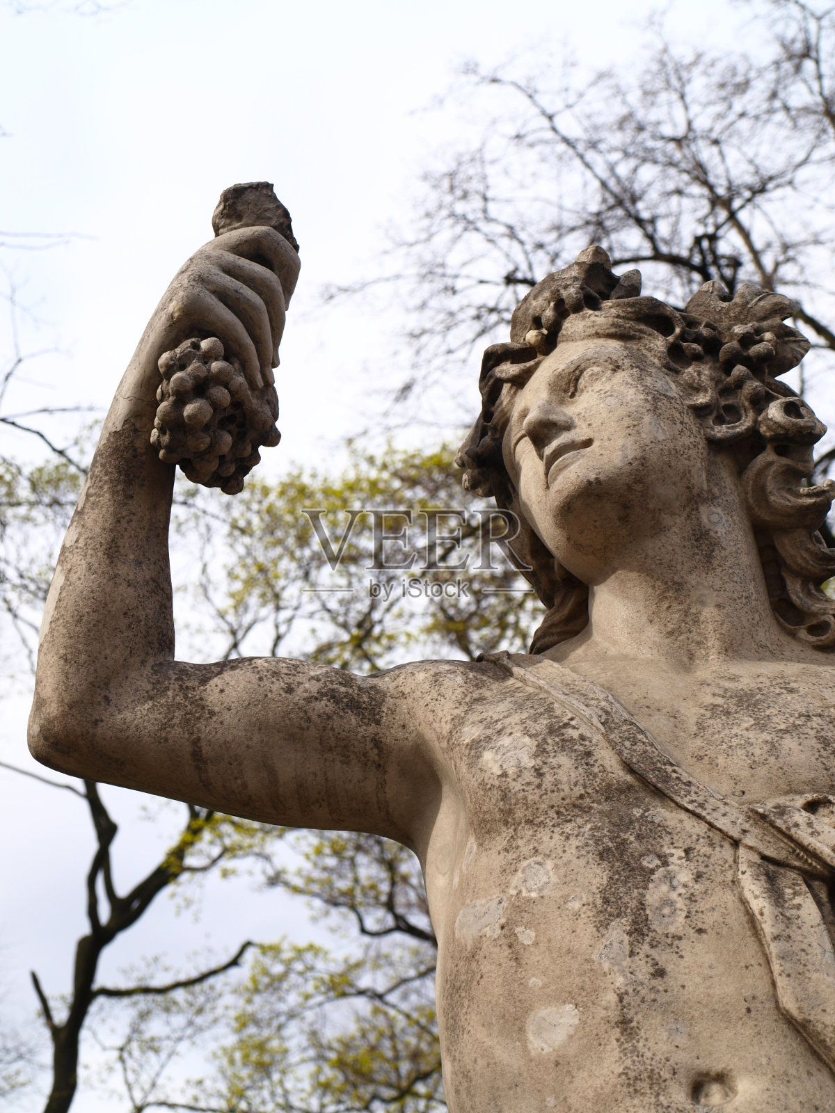 酒神狄俄尼索斯或酒神巴克斯的雕像和一串葡萄照片摄影图片