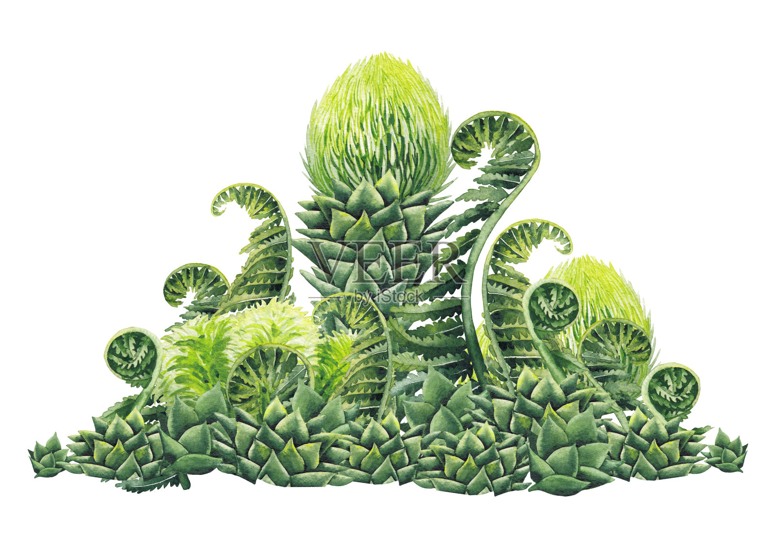 水彩史前植物插画图片素材