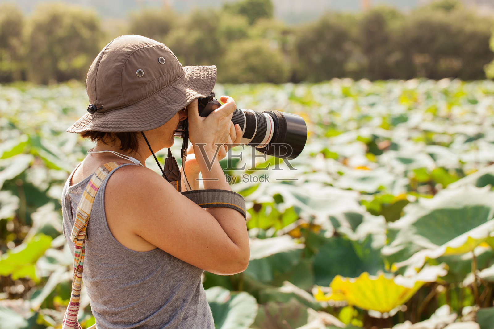 自然摄影师在热带沼泽的位置照片摄影图片