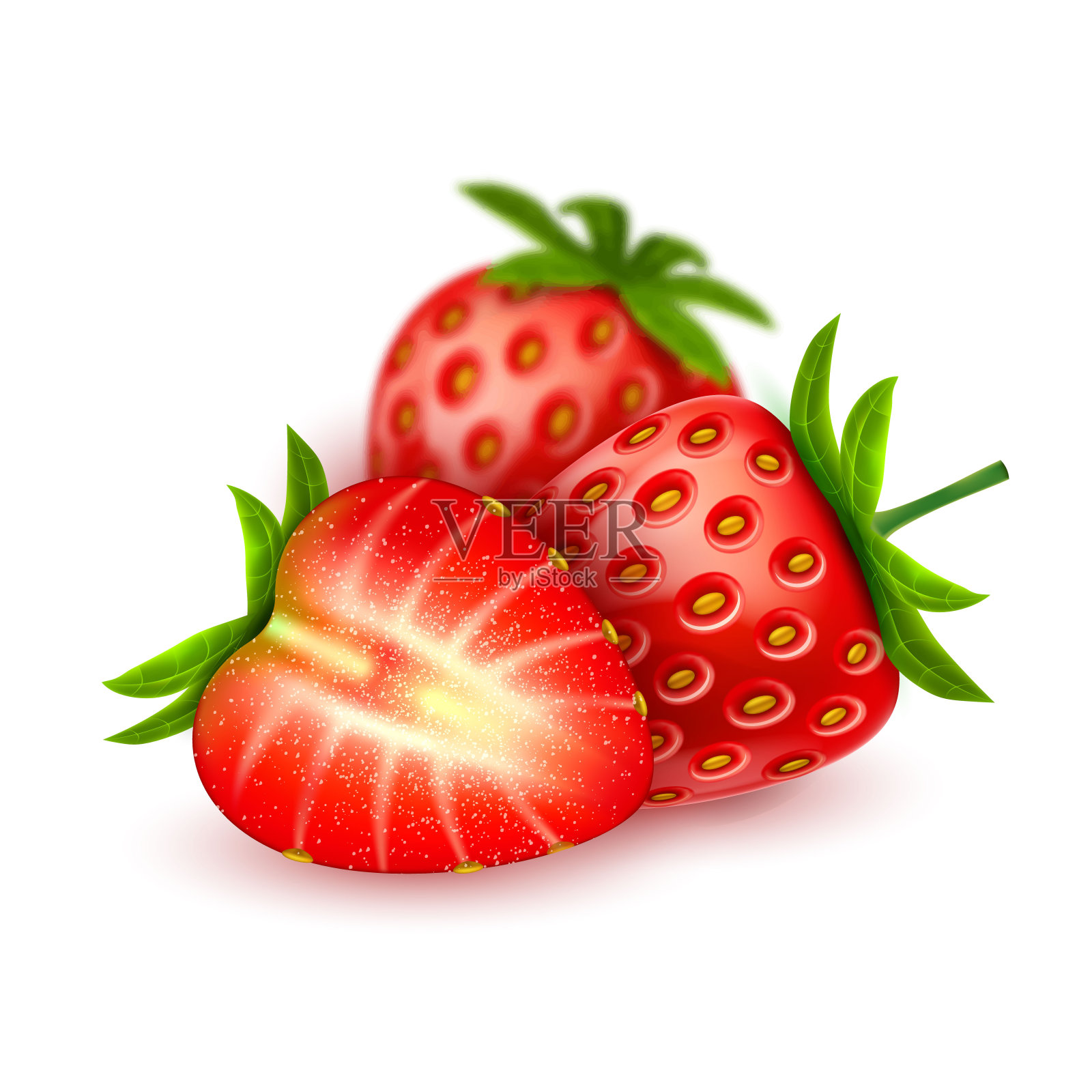 矢量现实详细的草莓切片插画图片素材