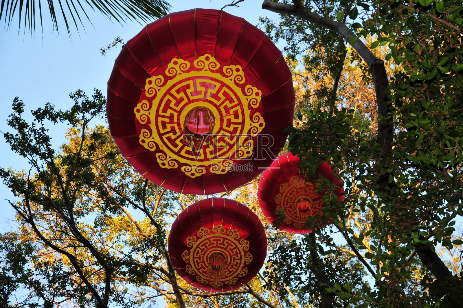中国新年的灯笼装饰挂在夏威夷的一棵树上照片摄影图片