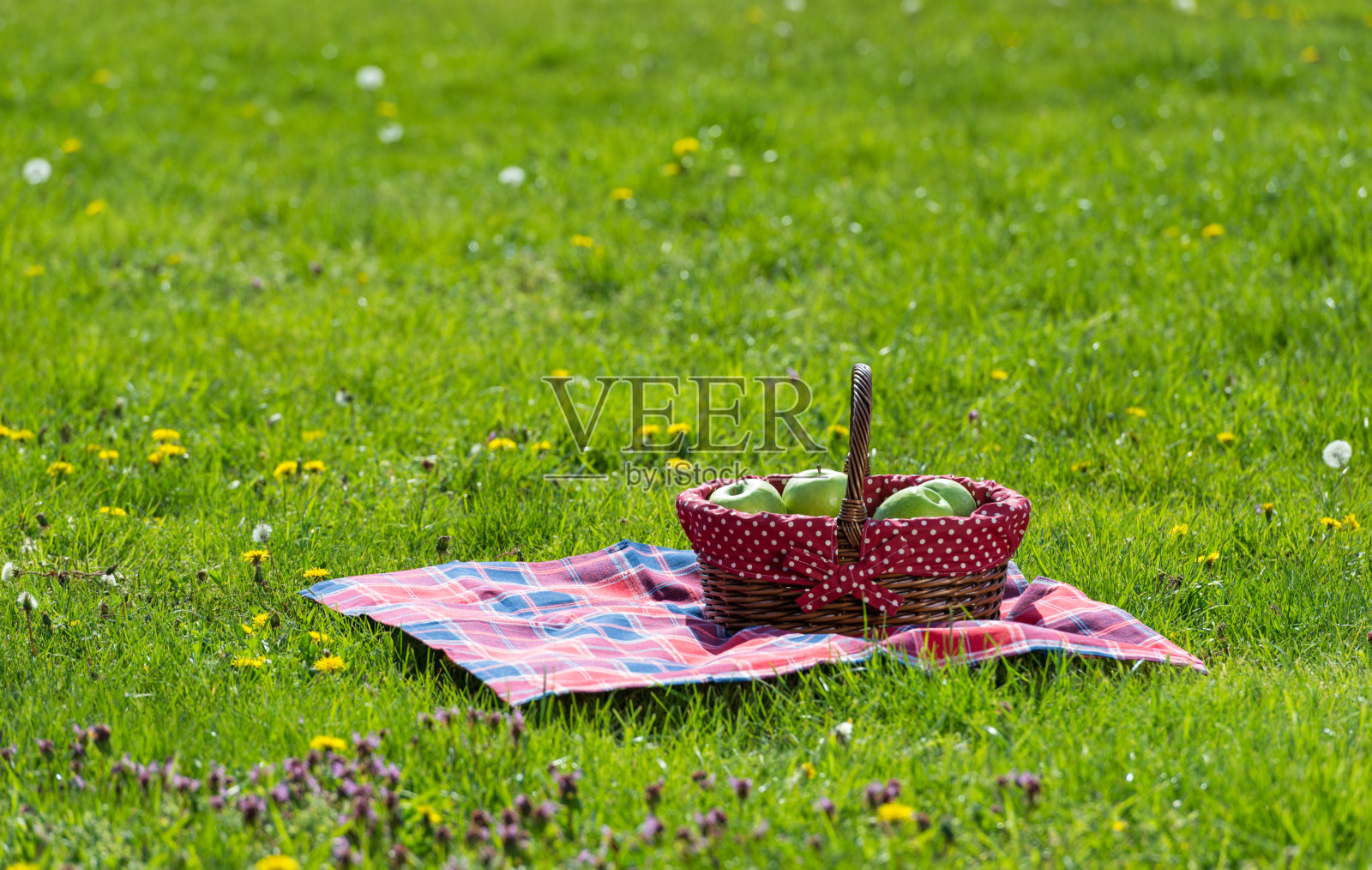野餐篮和毯子照片摄影图片