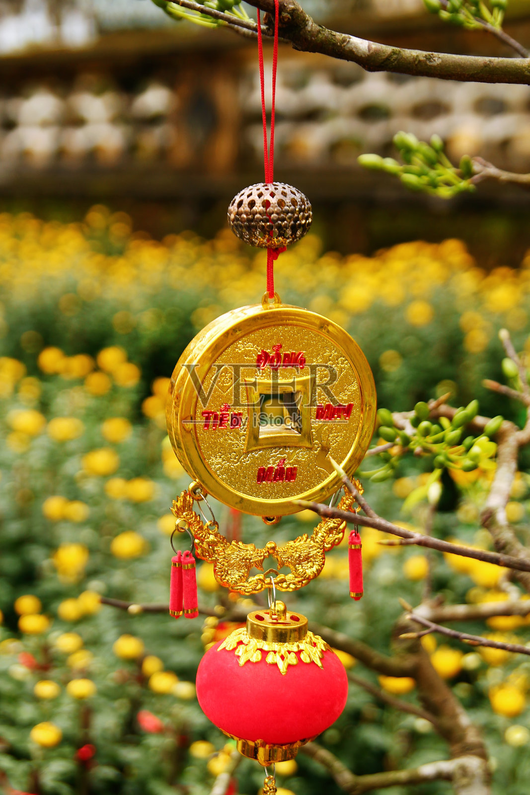 越南新年装饰背景上模糊的黄色花朵。色调,越南。照片摄影图片
