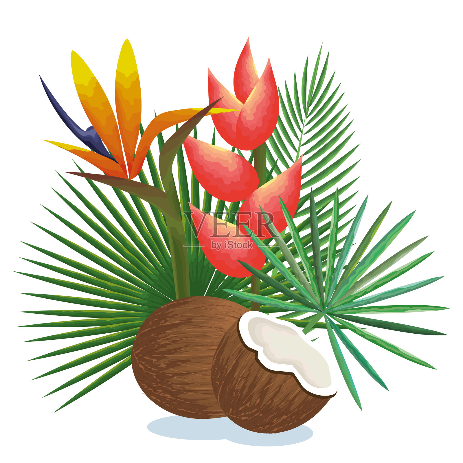 热带椰园设计元素图片