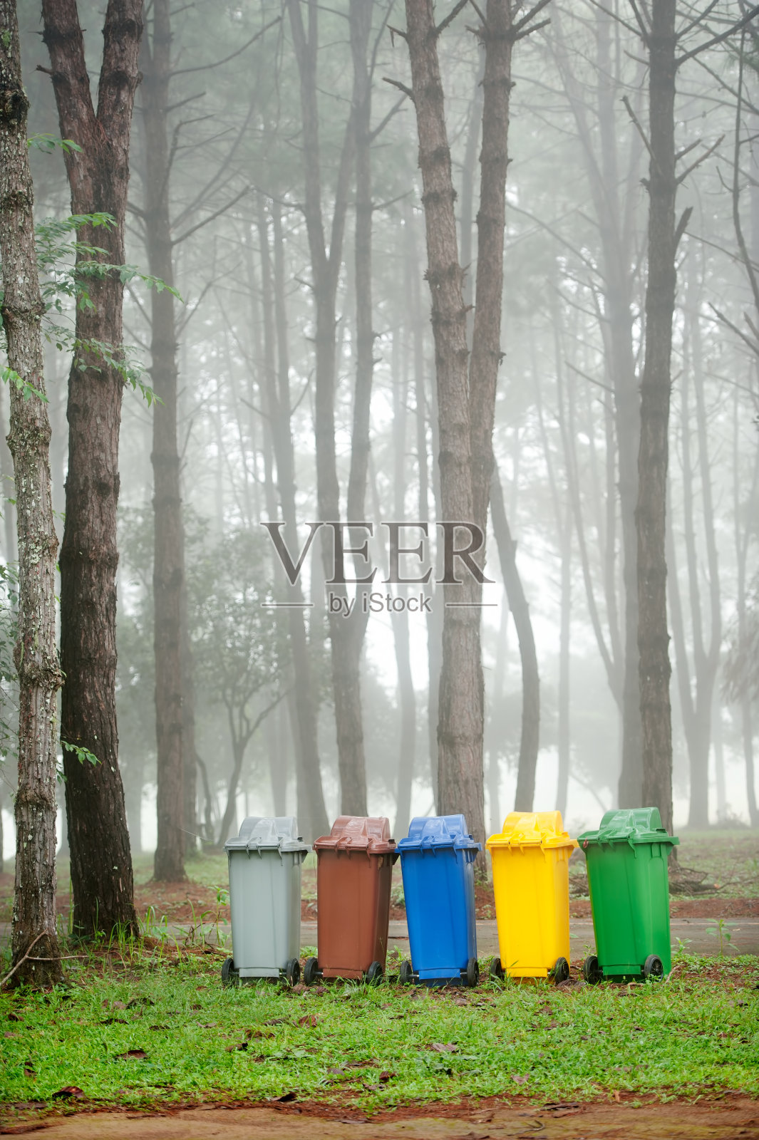 松树林中的五色垃圾桶。照片摄影图片